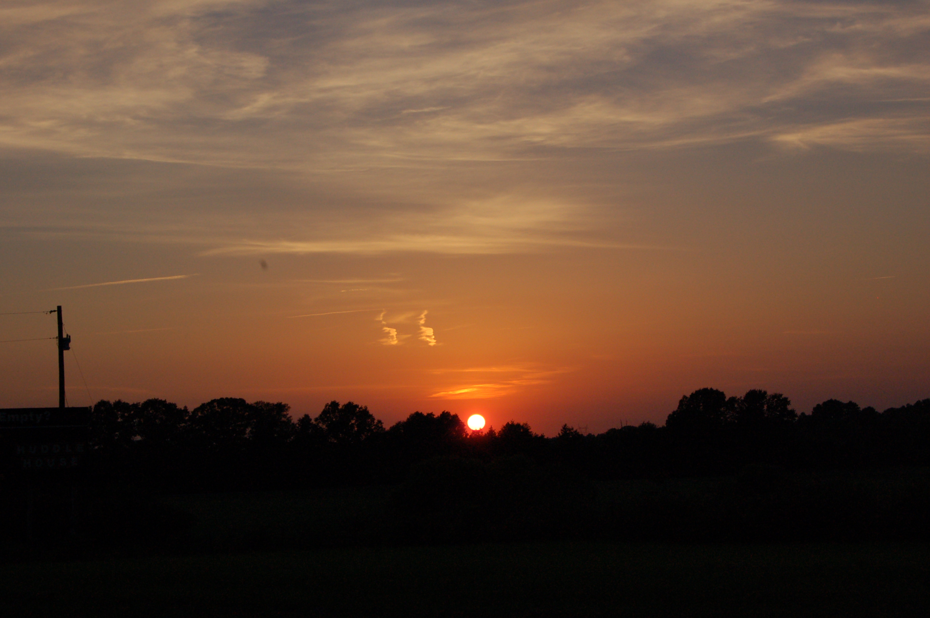 DSC_0224.JPG