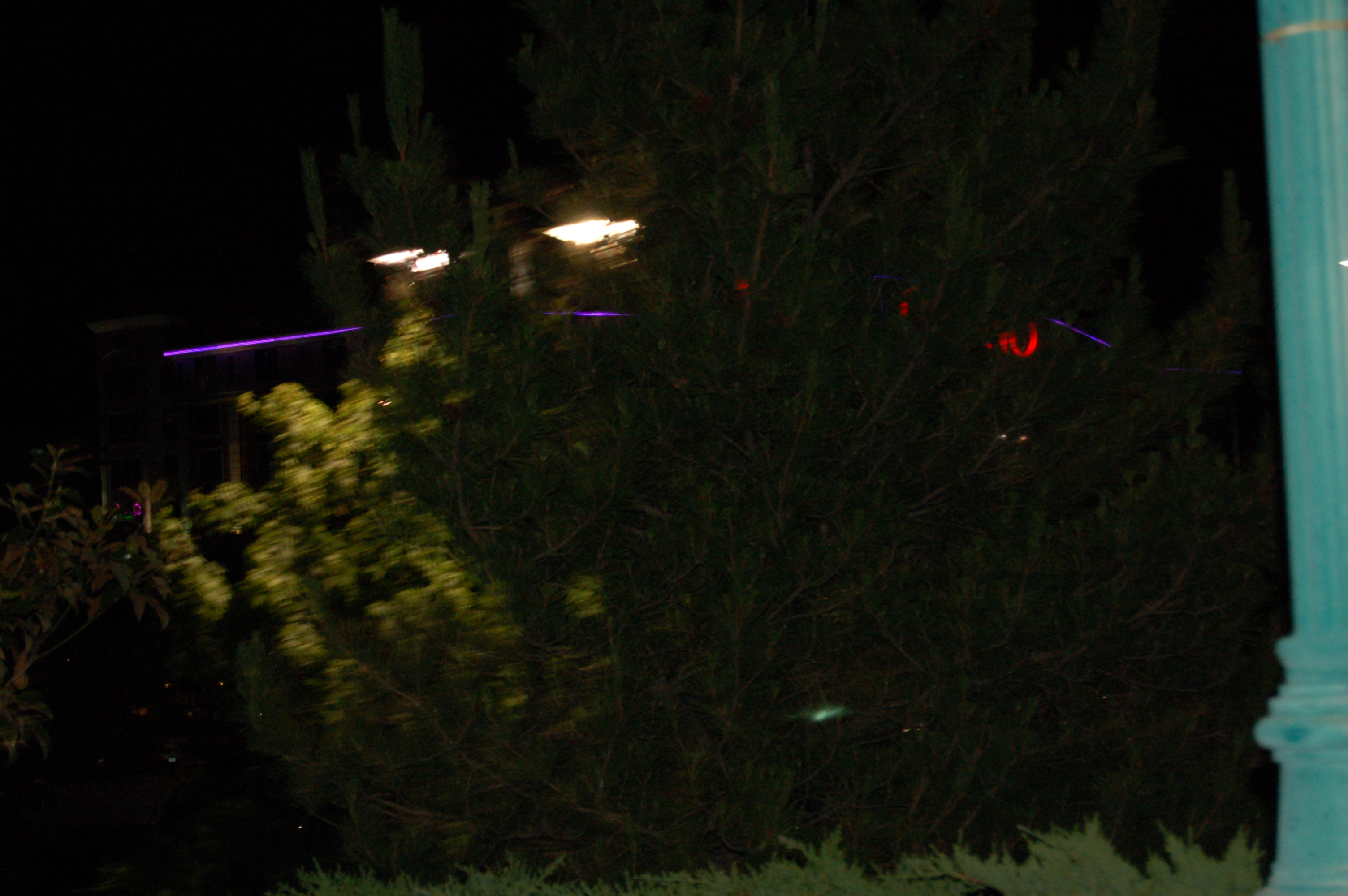 DSC_0229.JPG