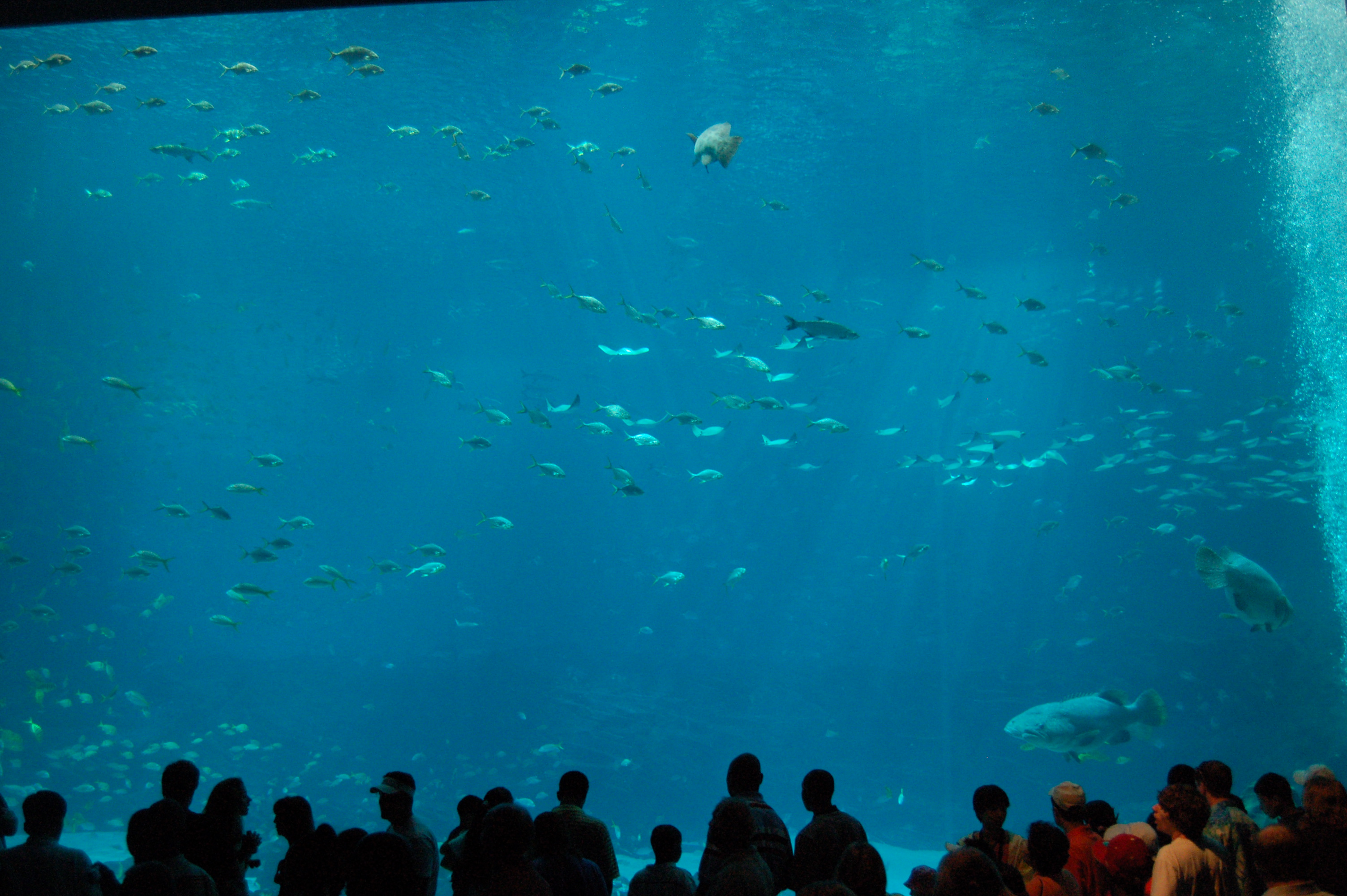 DSC_0147.JPG