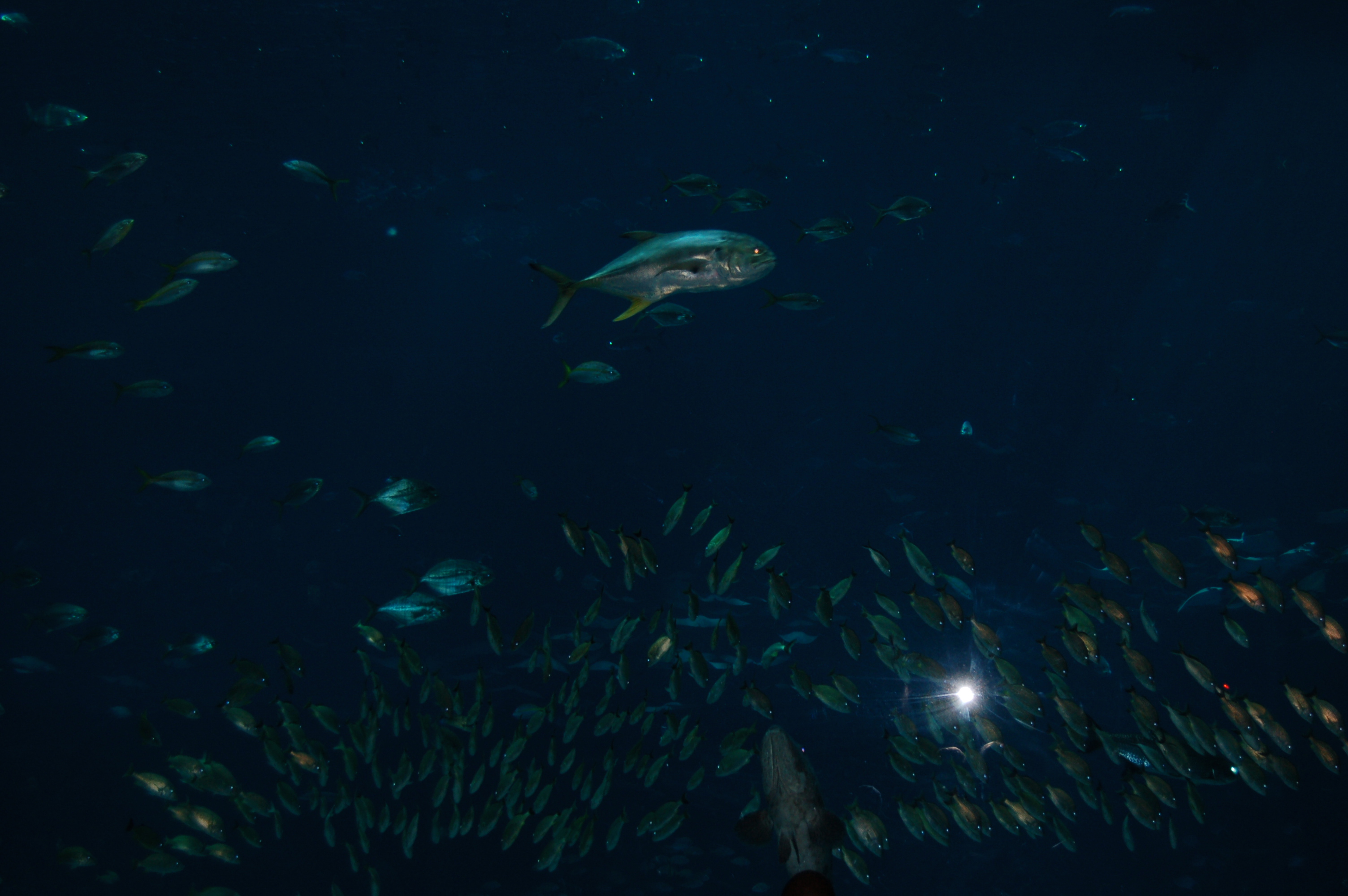 DSC_0151.JPG