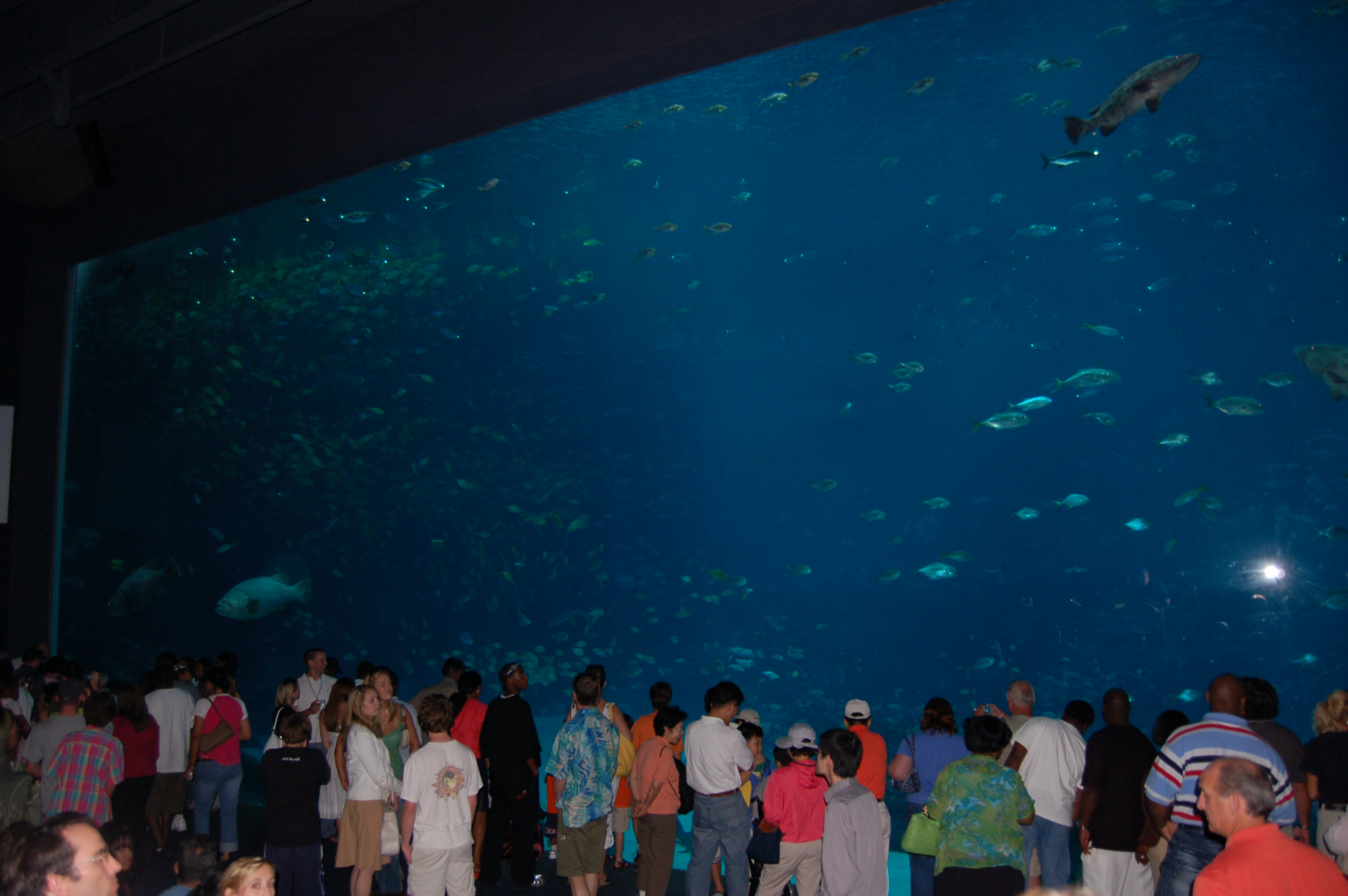 DSC_0152.JPG
