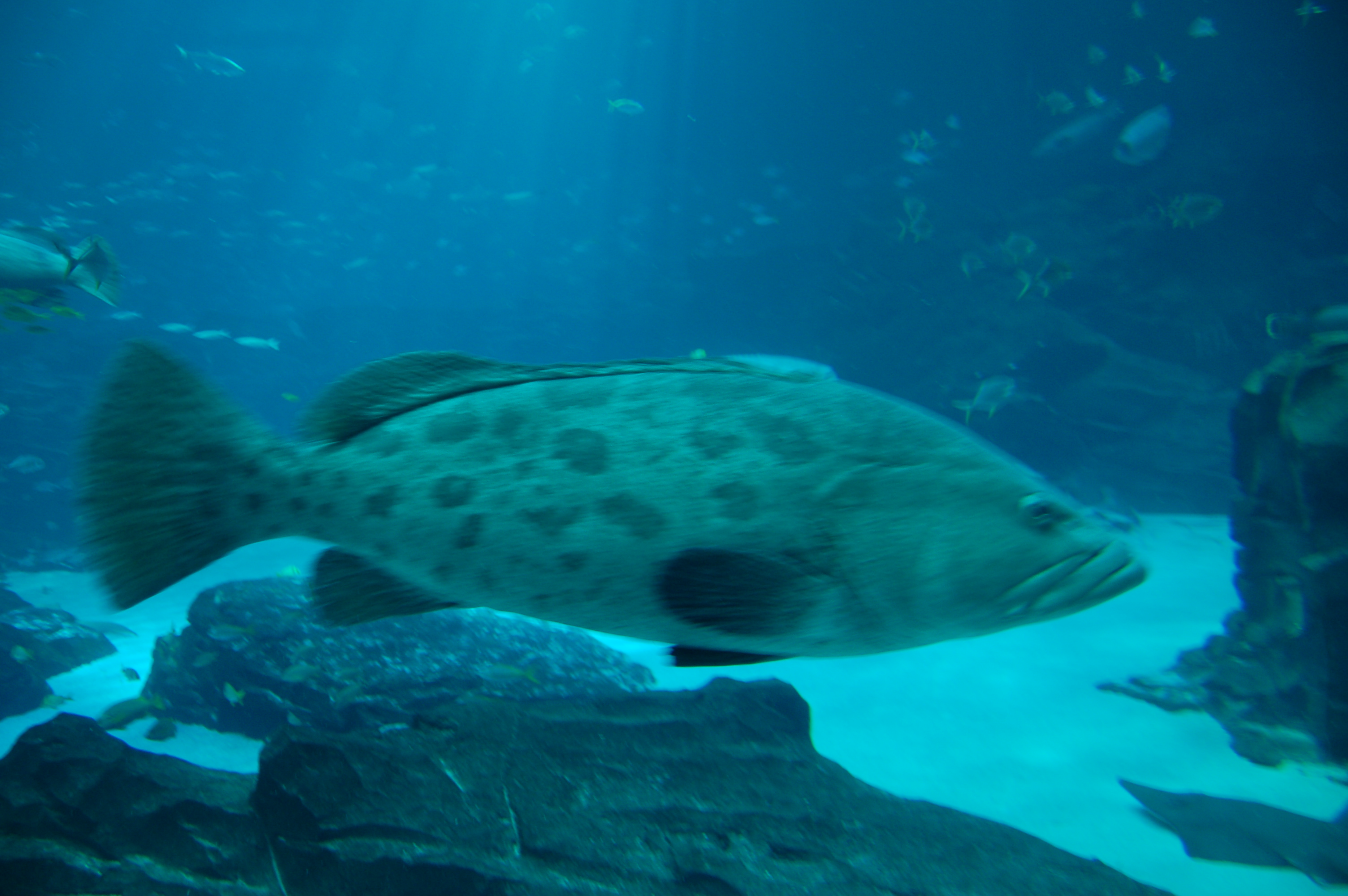 DSC_0157.JPG