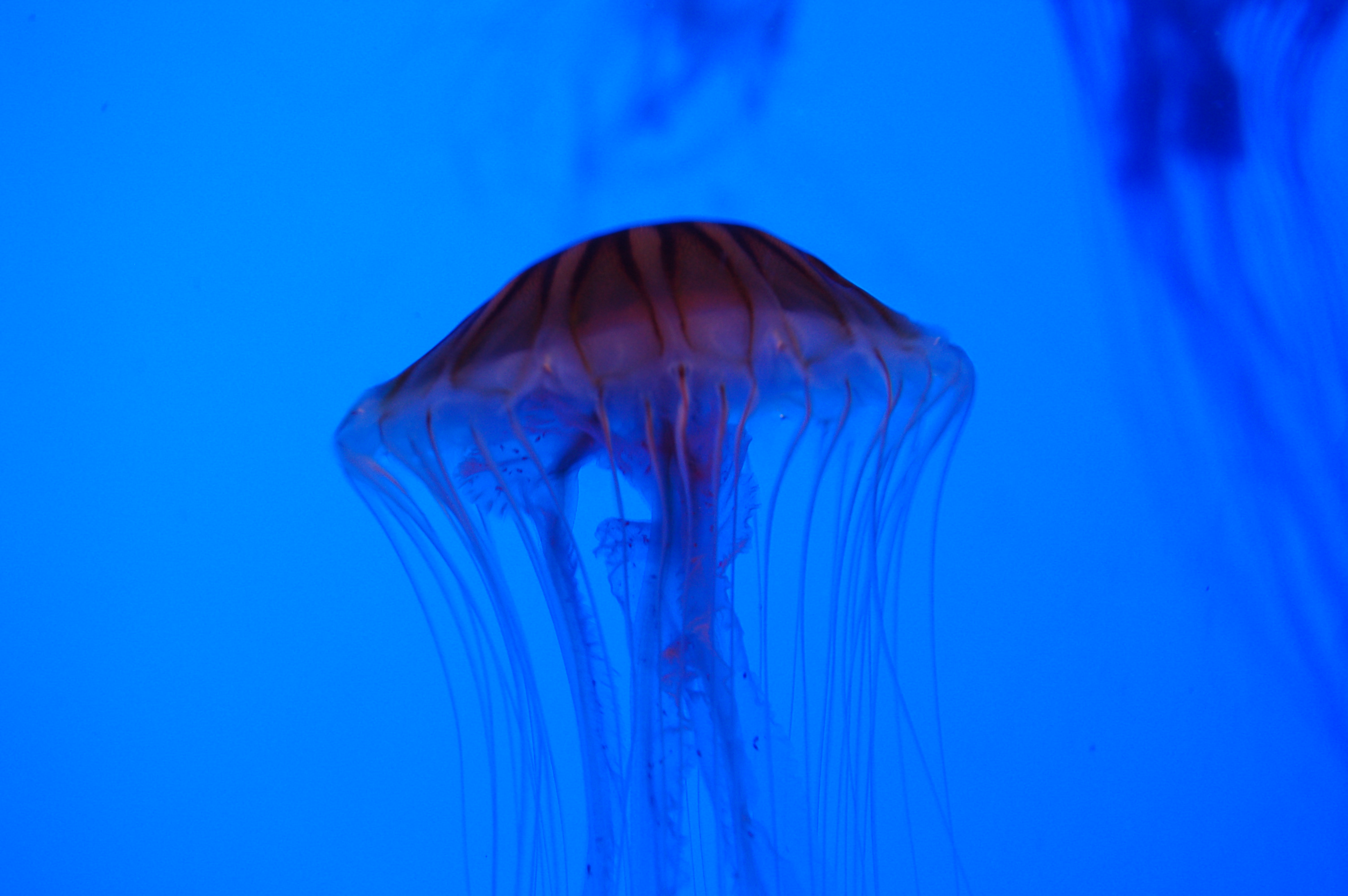 DSC_0167.JPG