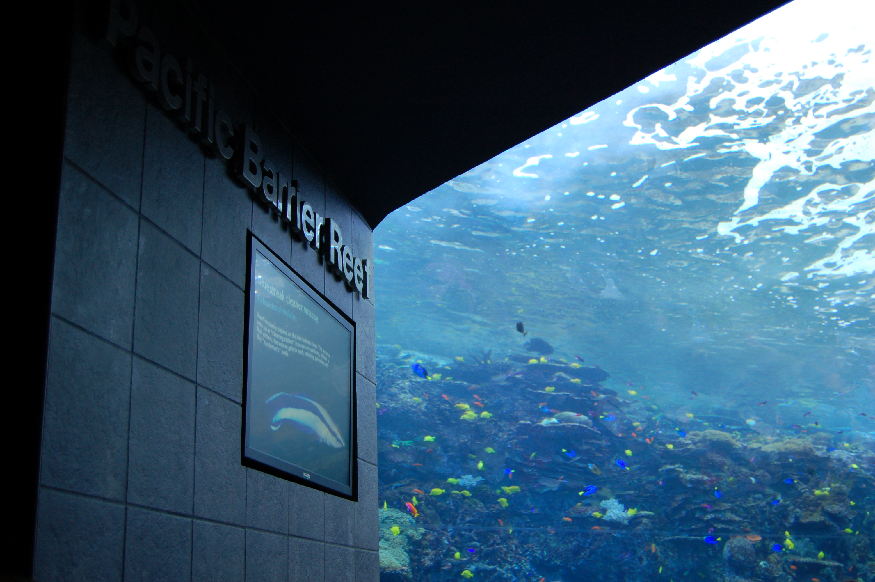 DSC_0172.JPG