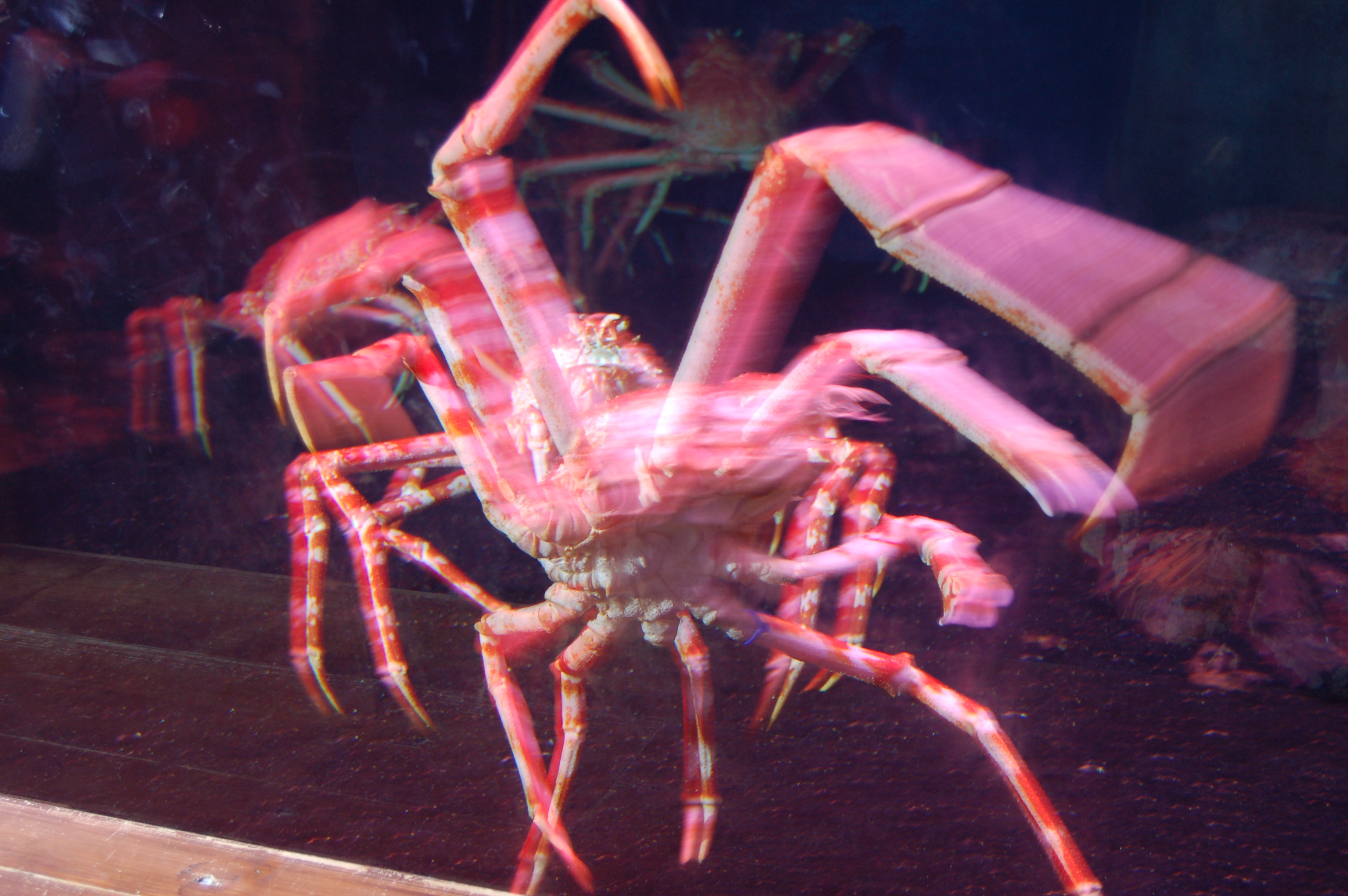 DSC_0174.JPG