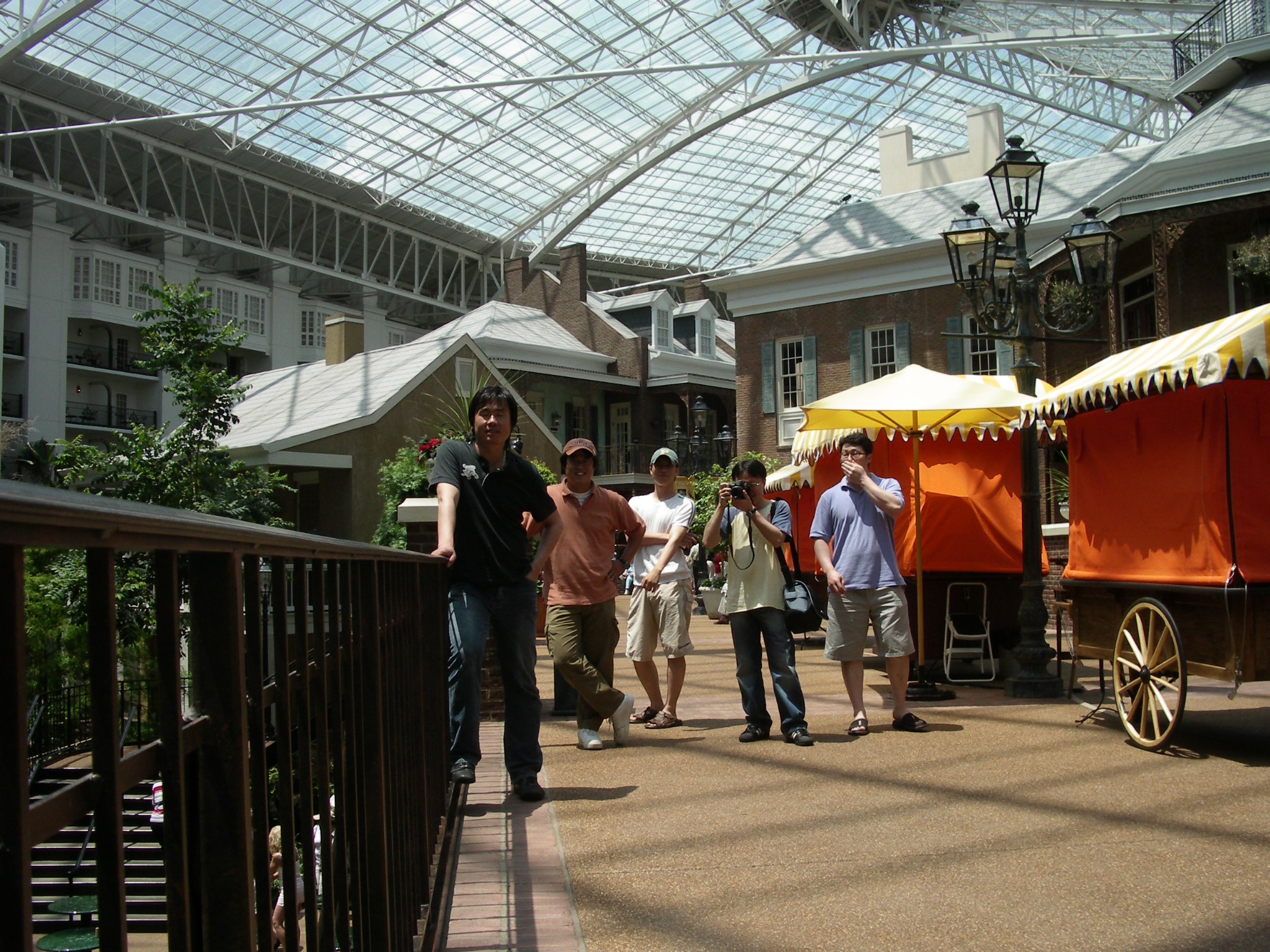 IMGP2967.JPG
