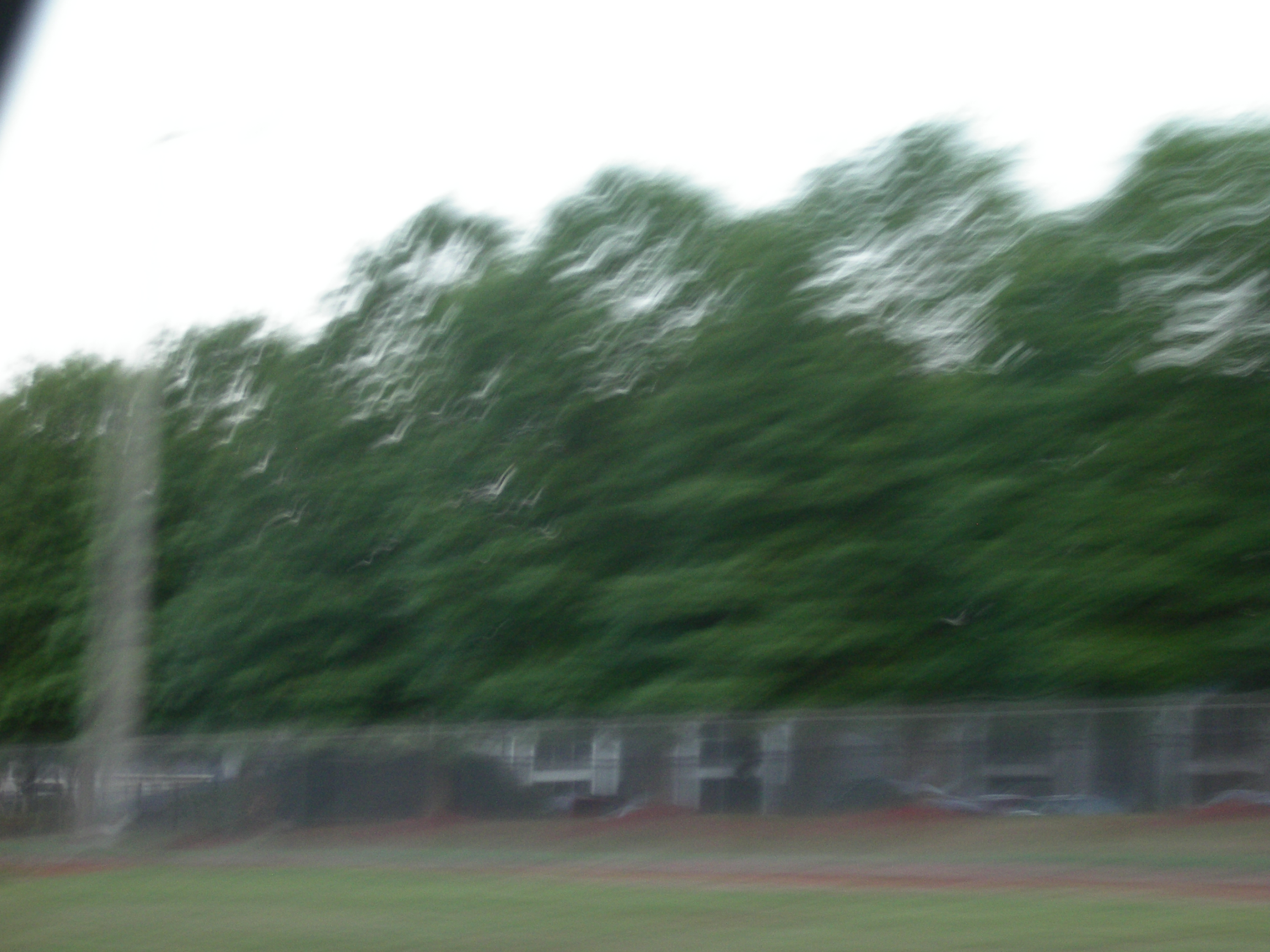 IMGP2528.JPG