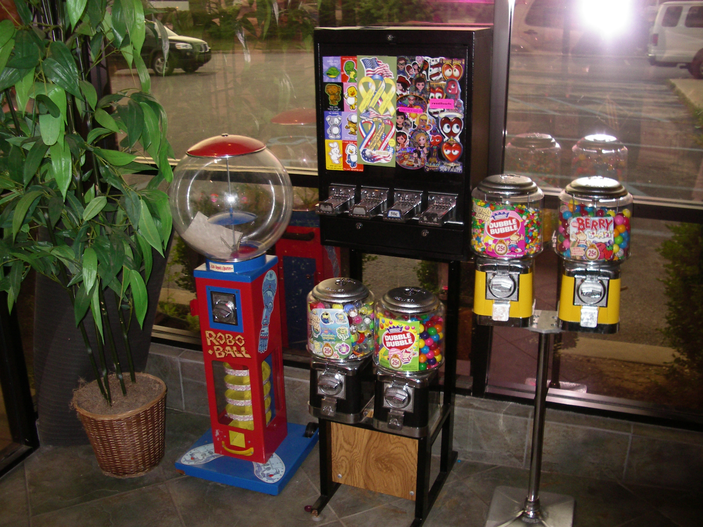 IMGP2556.JPG