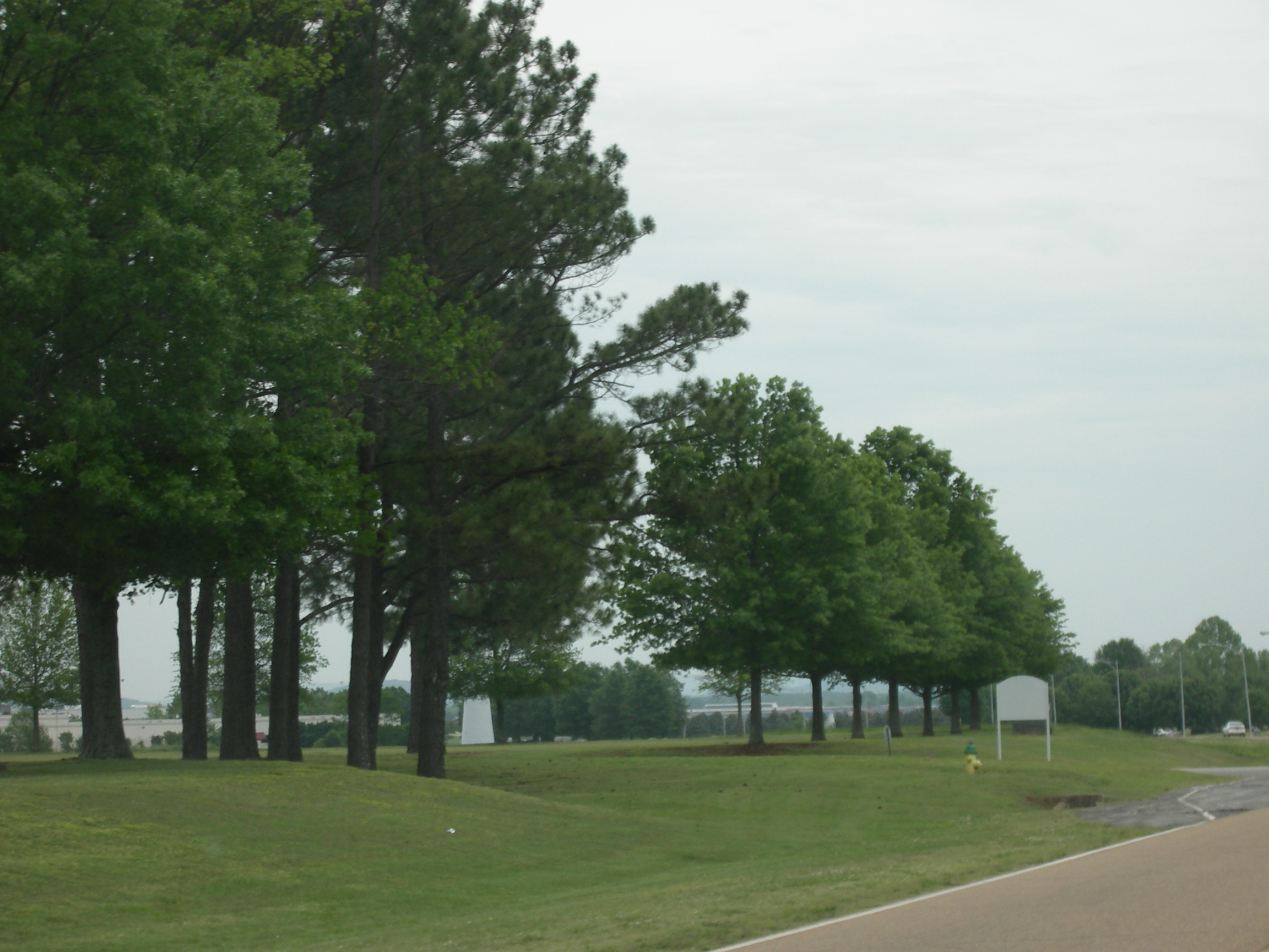 IMGP2565.JPG