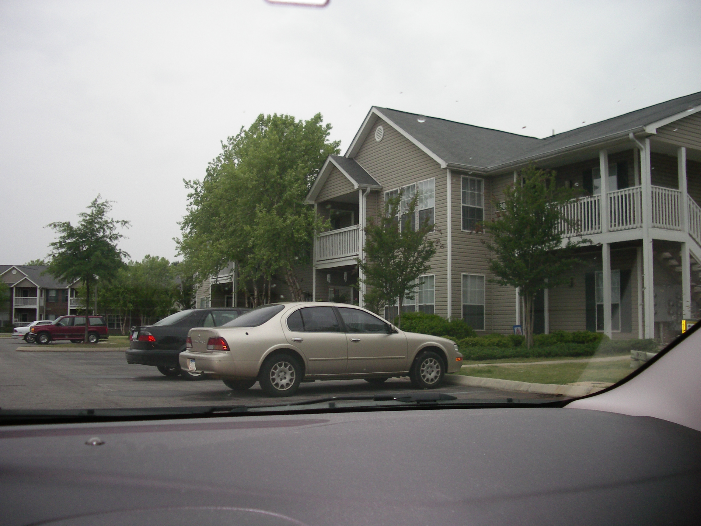IMGP2577.JPG