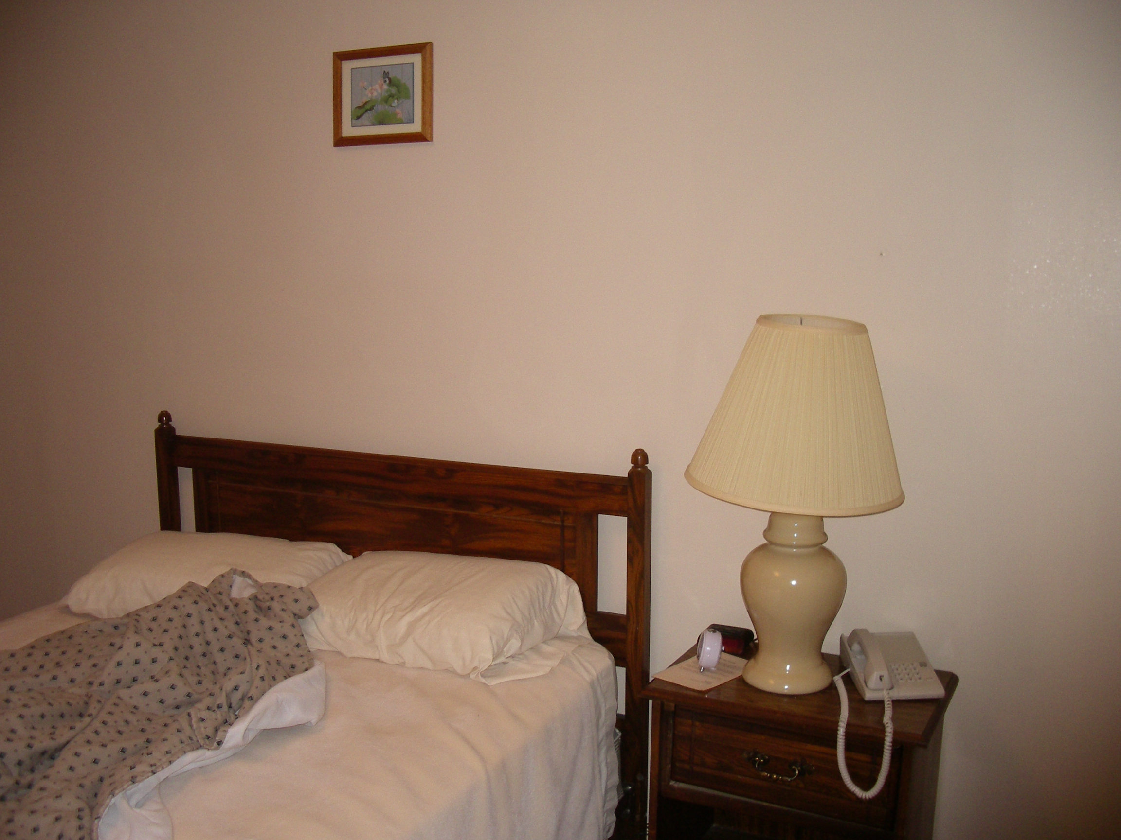 IMGP2588.JPG