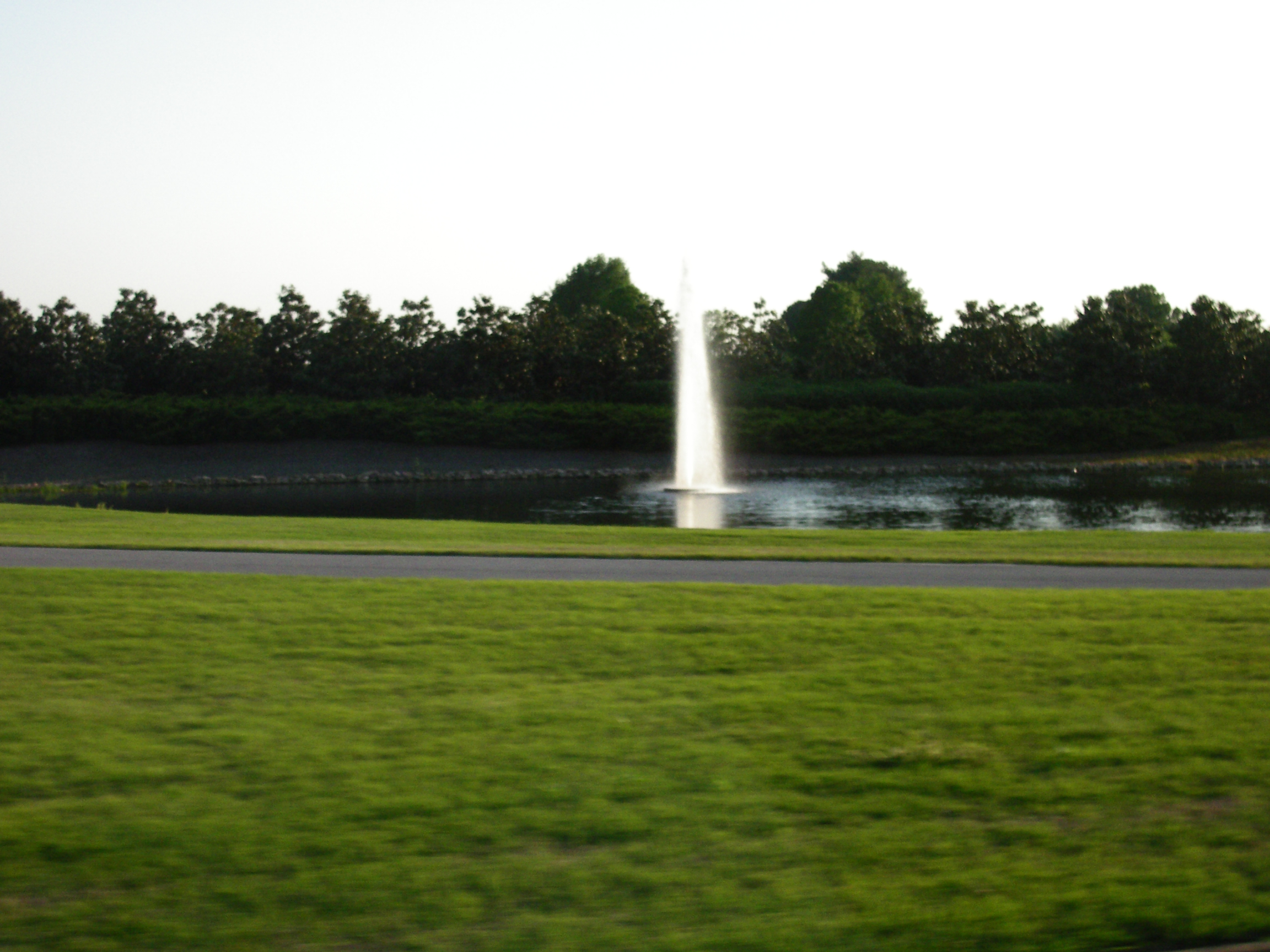 IMGP2610.JPG
