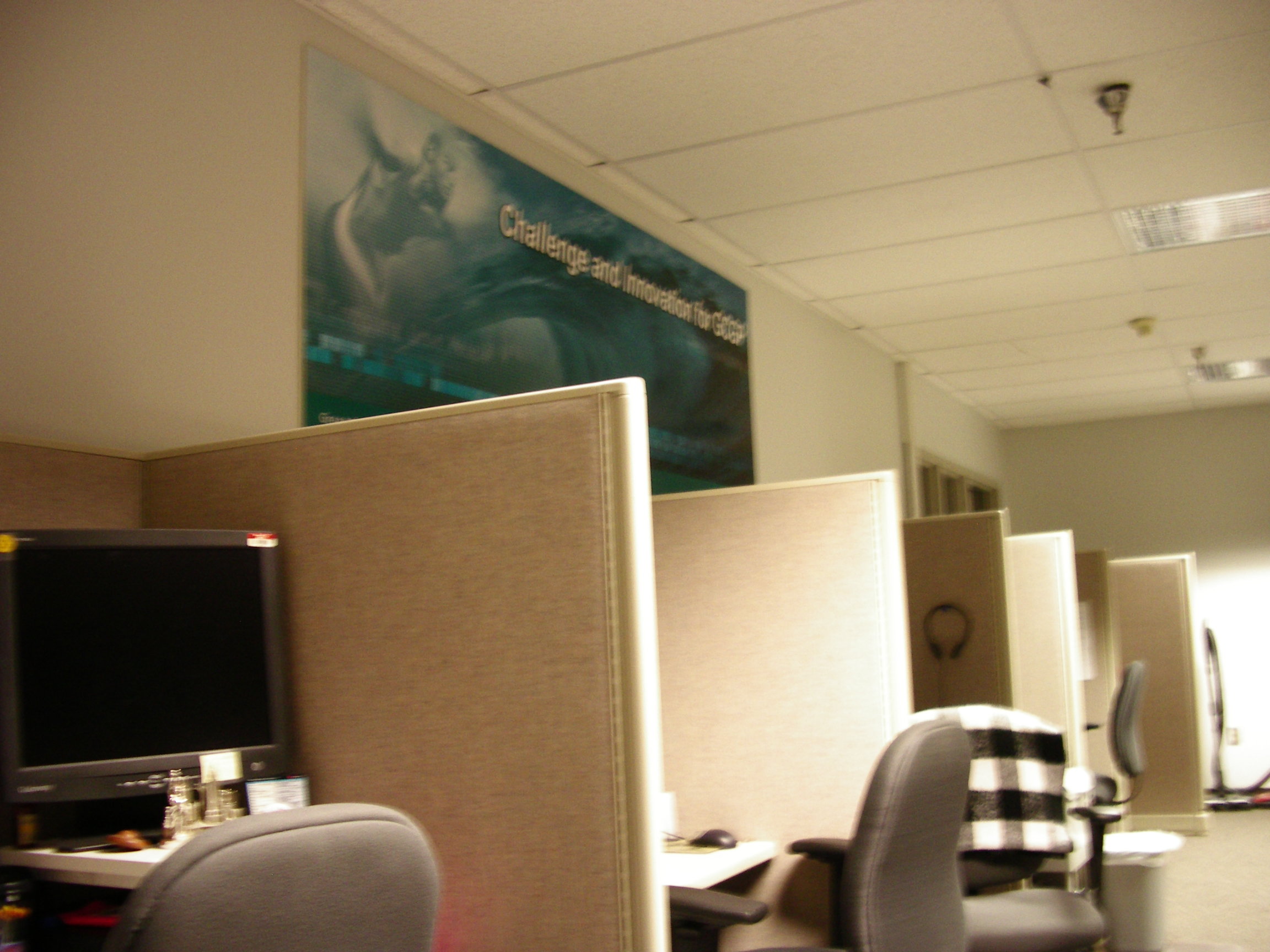IMGP2738.JPG