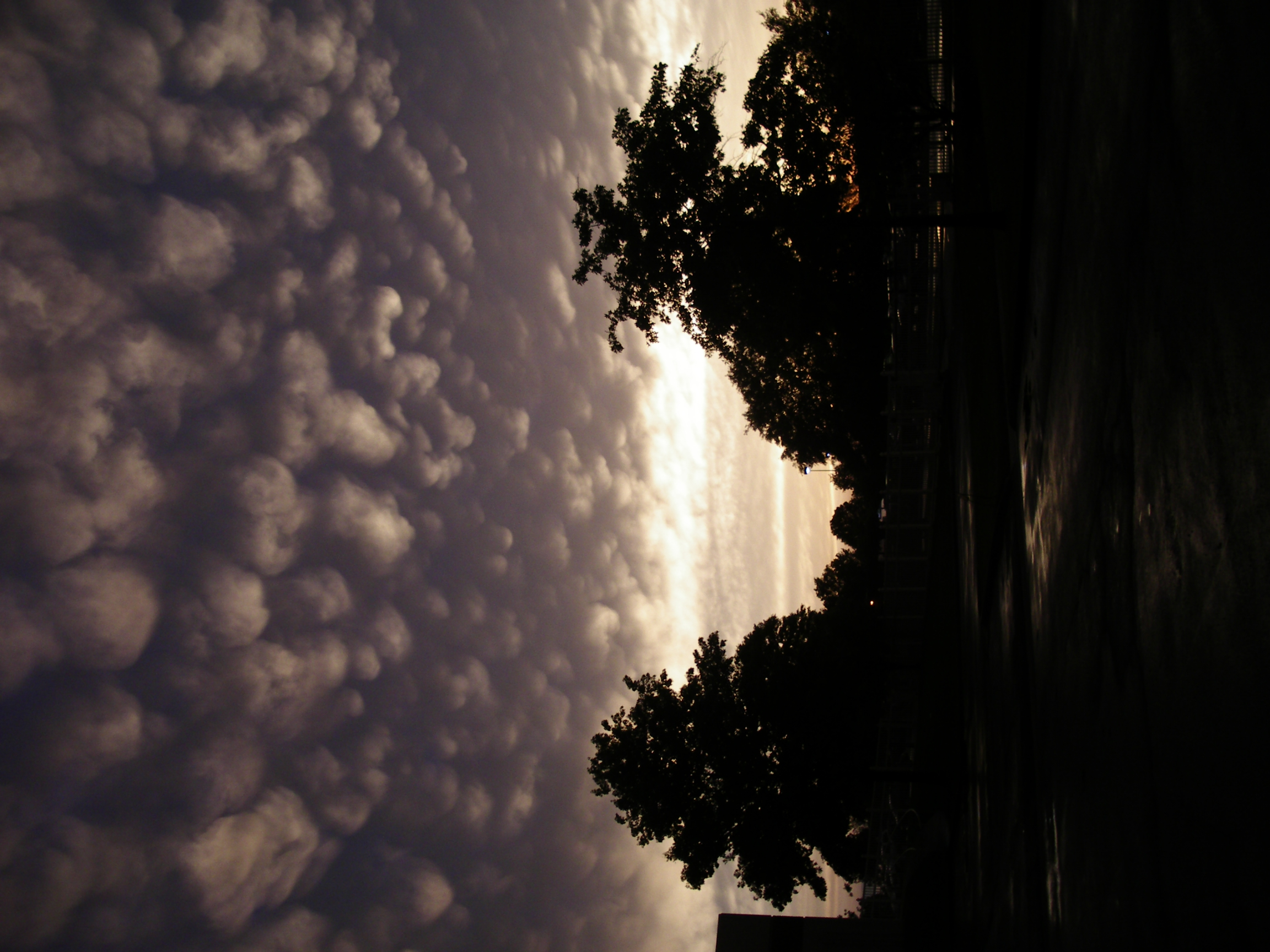 IMGP2778.JPG