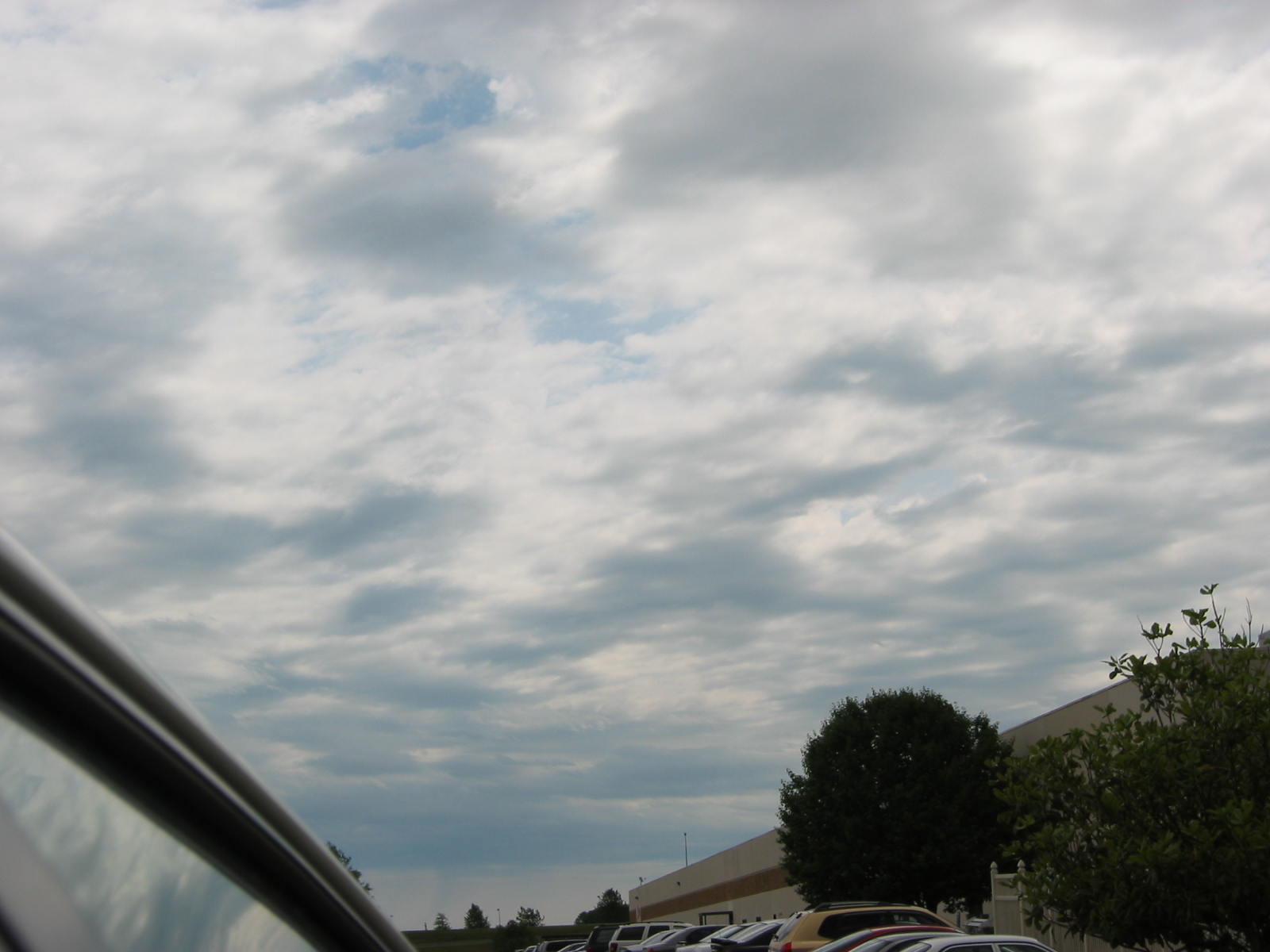 101-0115_IMG.JPG