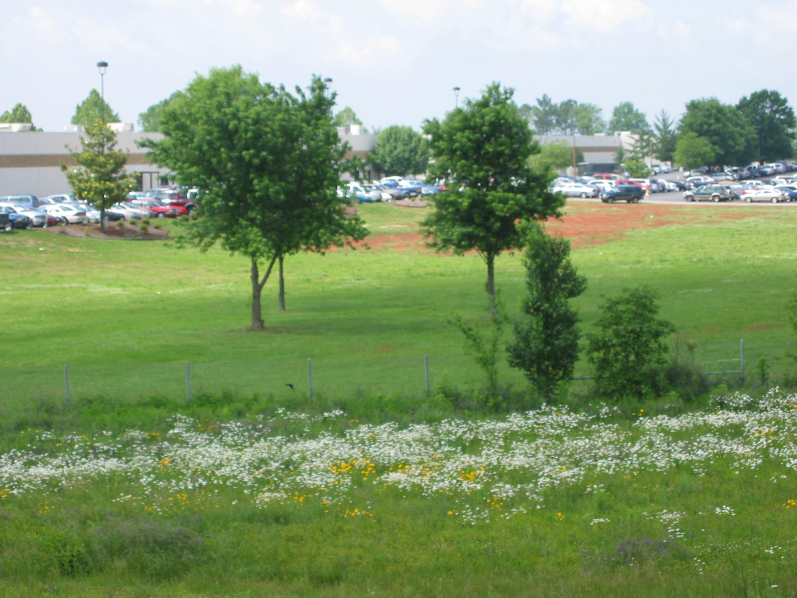 101-0173_IMG.JPG