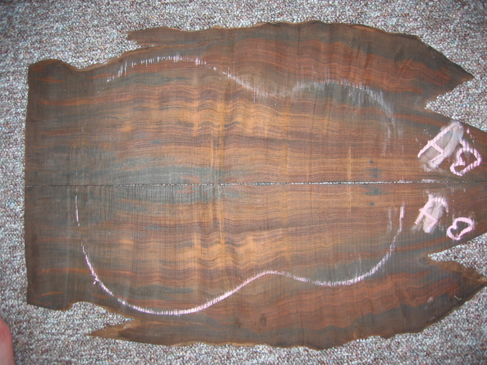 100-0036_IMG.JPG
