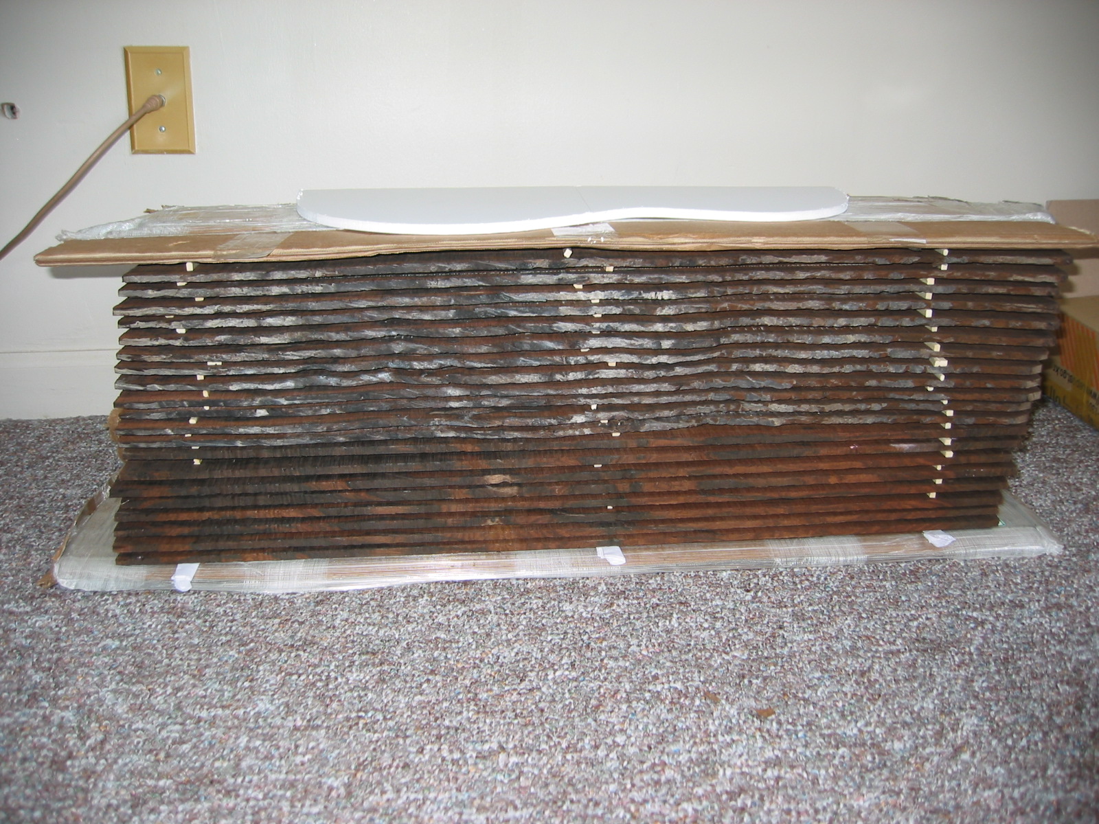 100-0045_IMG.JPG