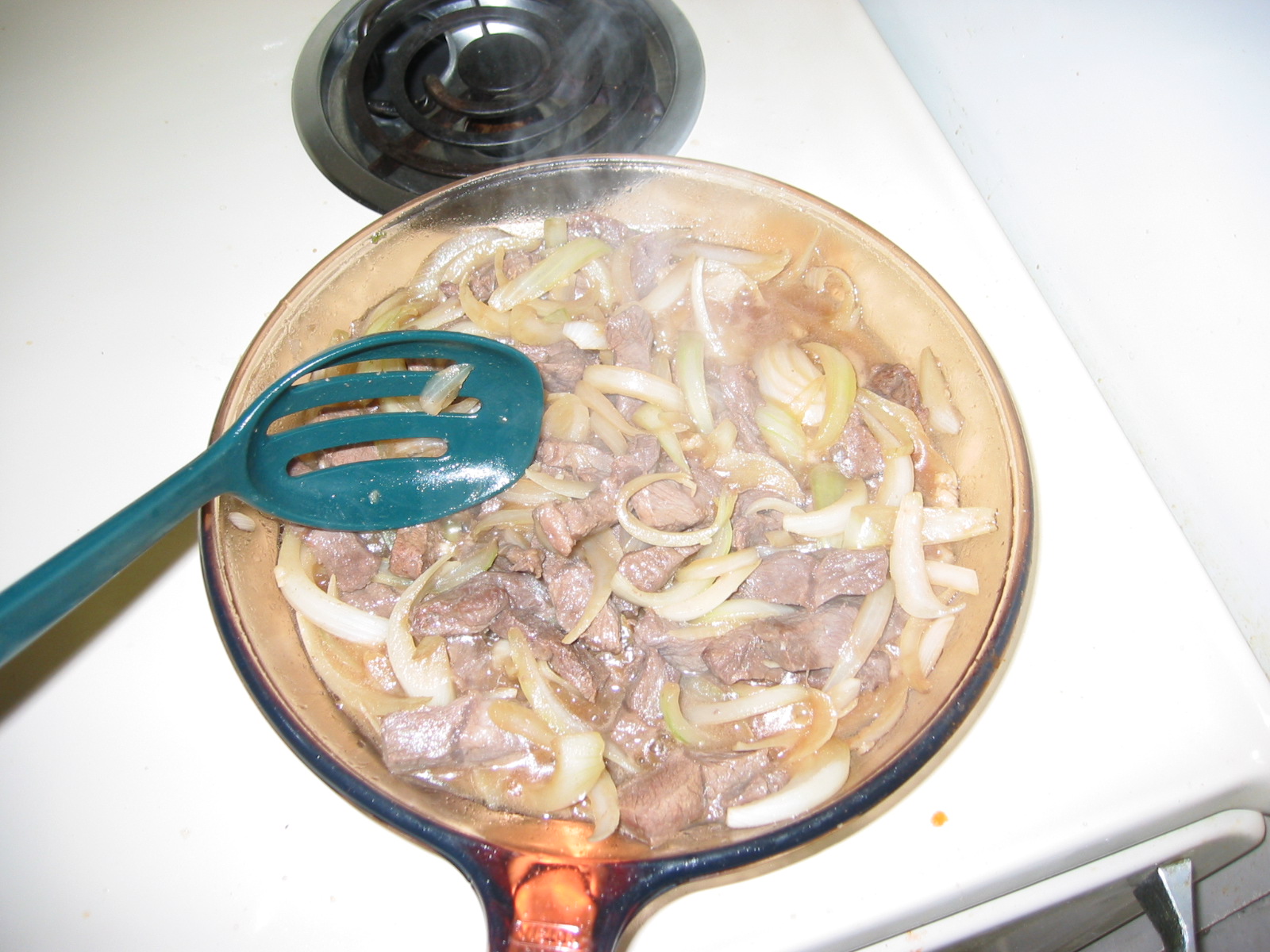 100-0051_IMG.JPG