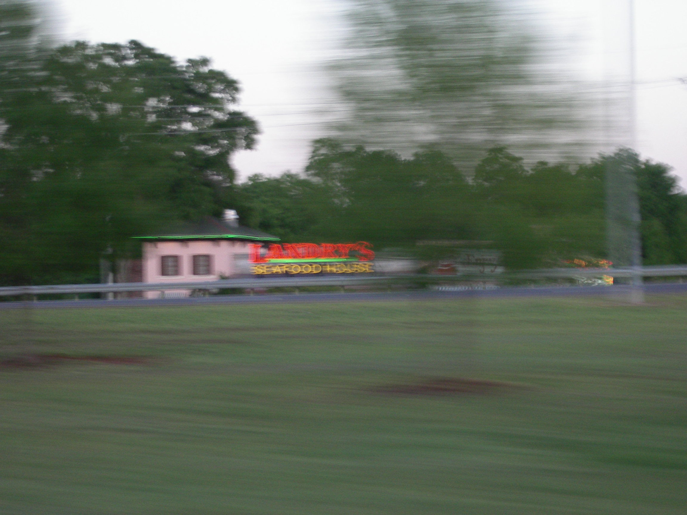 IMGP2526.JPG