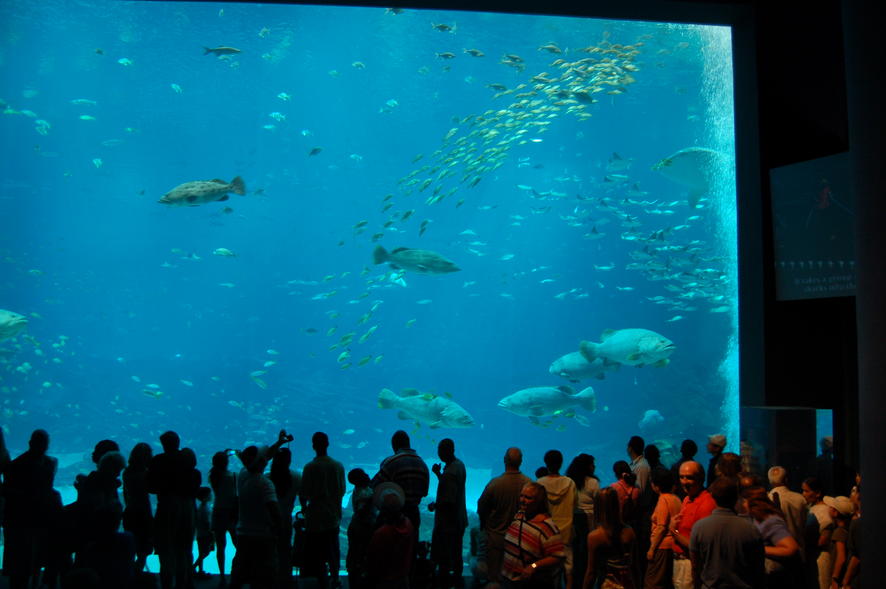 DSC_0142.JPG