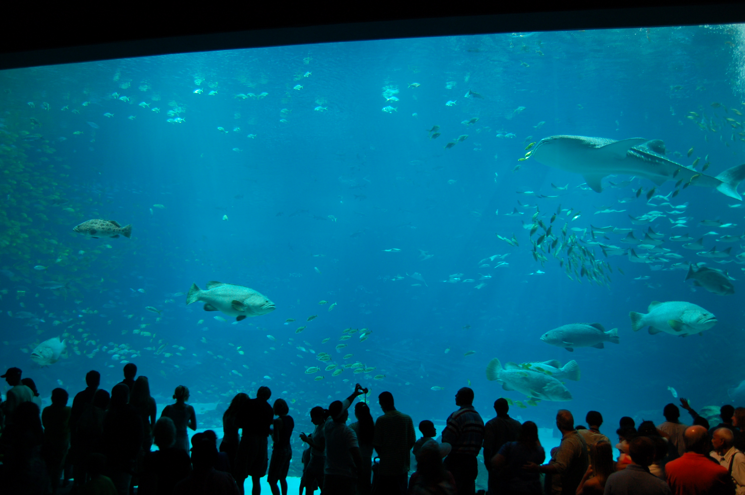 DSC_0143.JPG