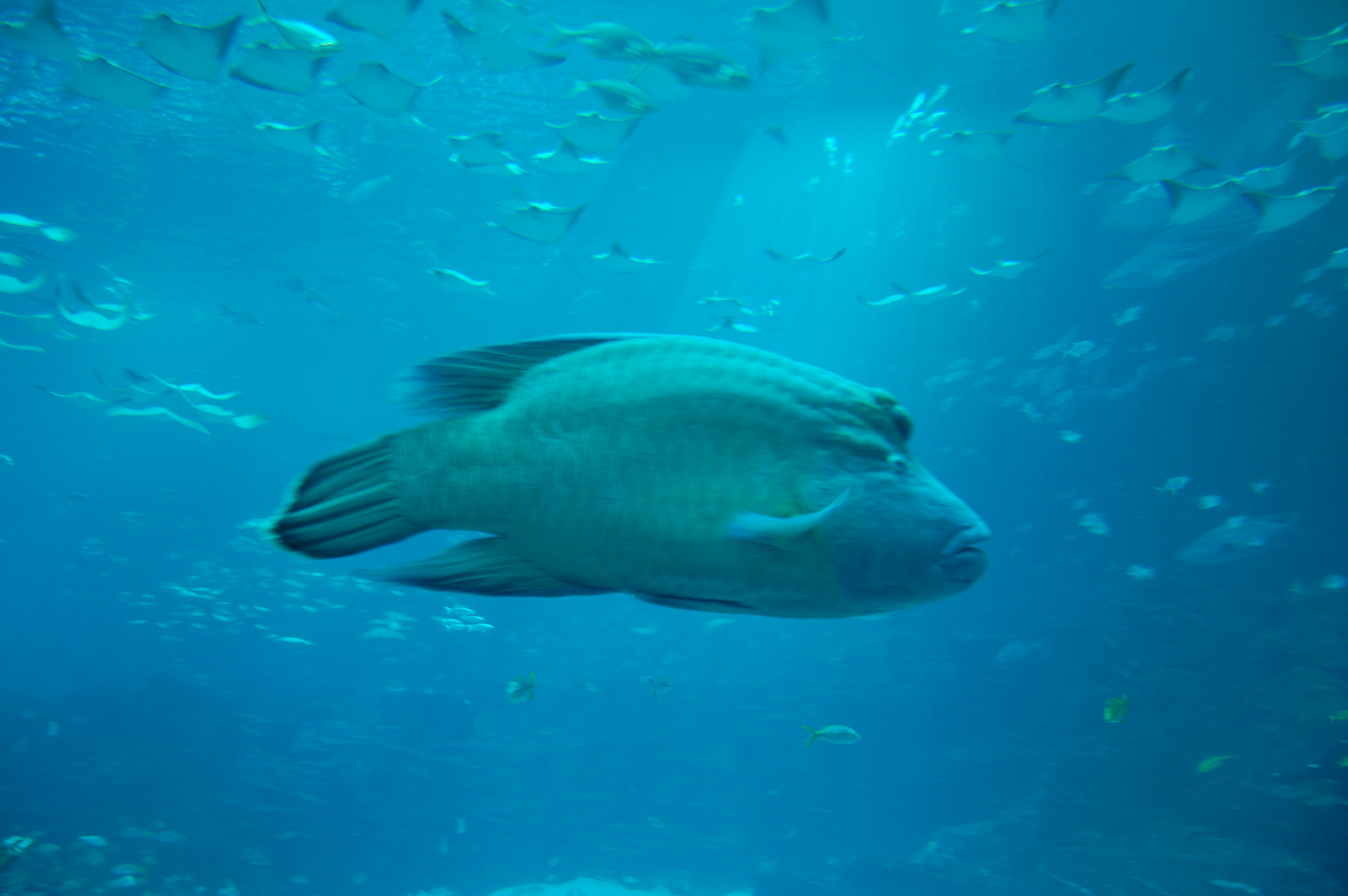 DSC_0158.JPG