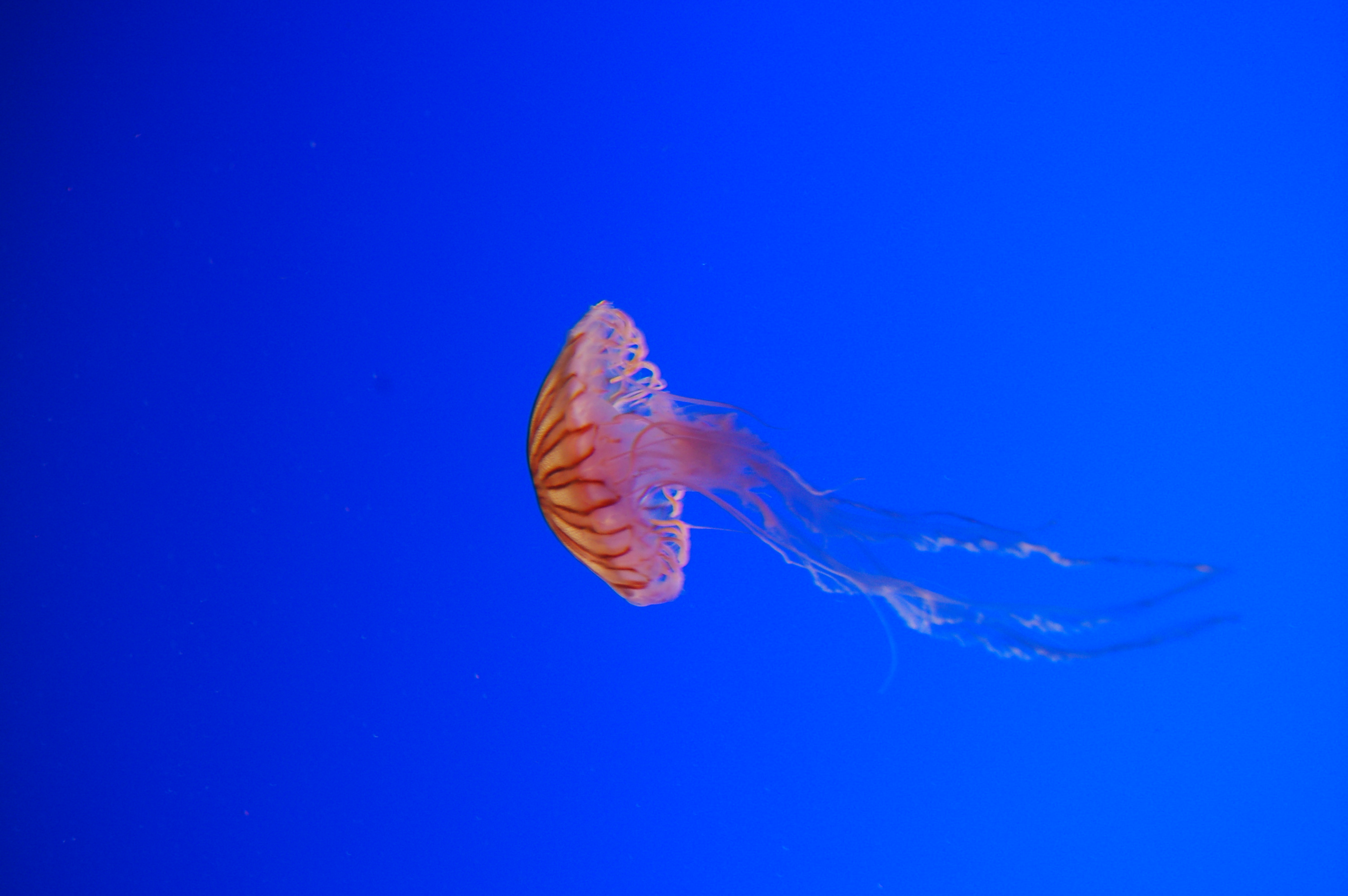 DSC_0169.JPG