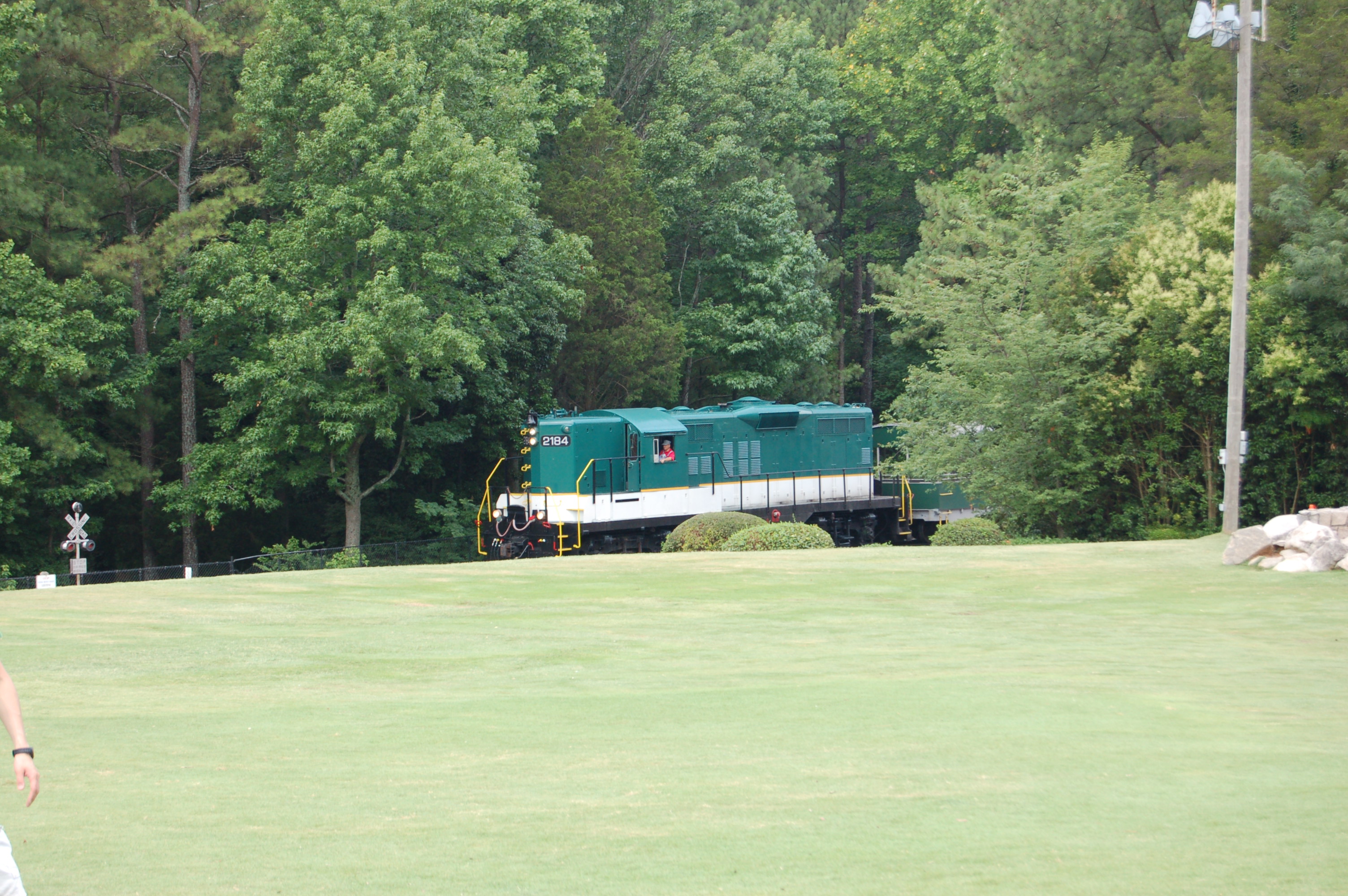 DSC_0237.JPG