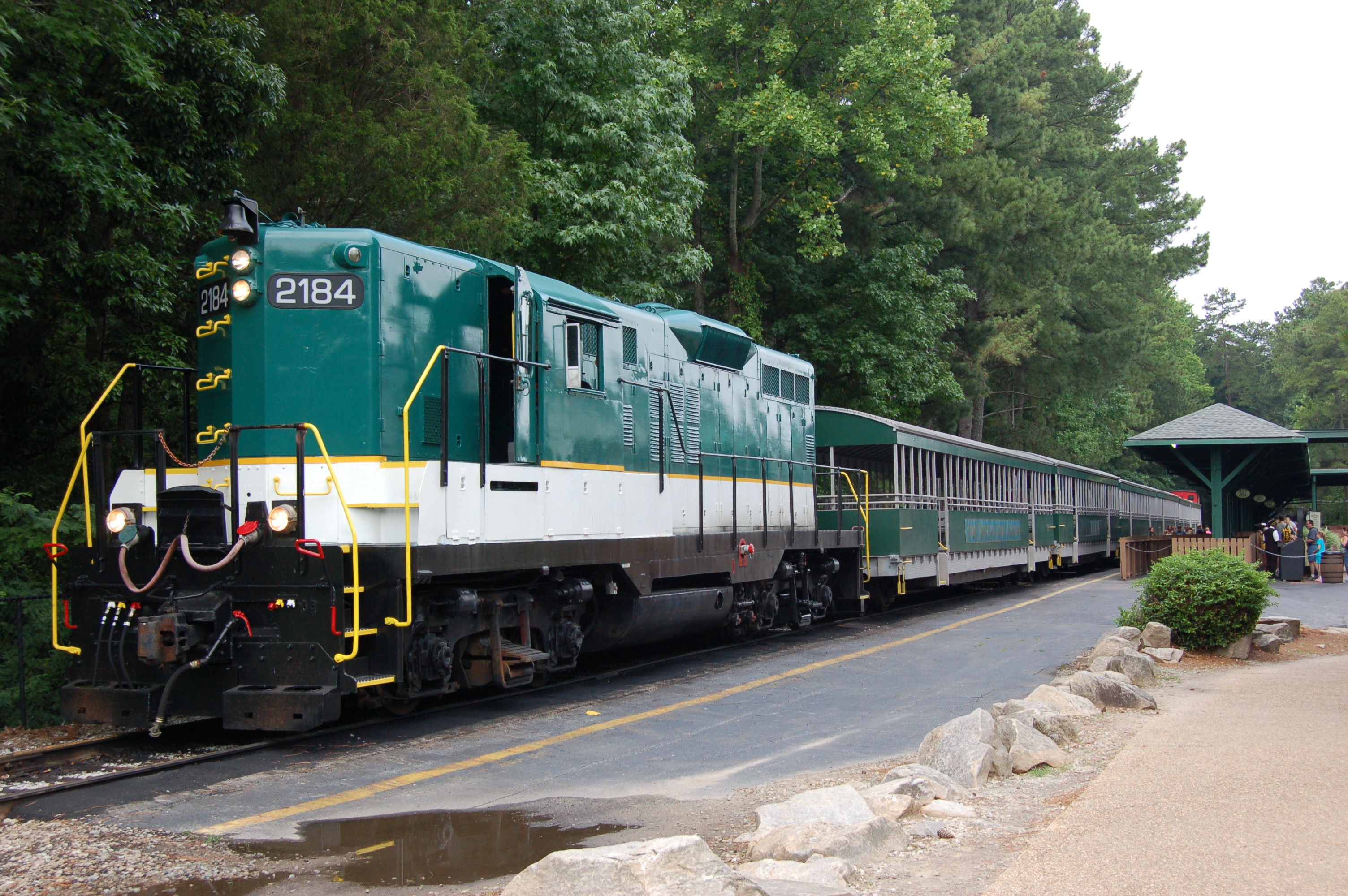 DSC_0239.JPG