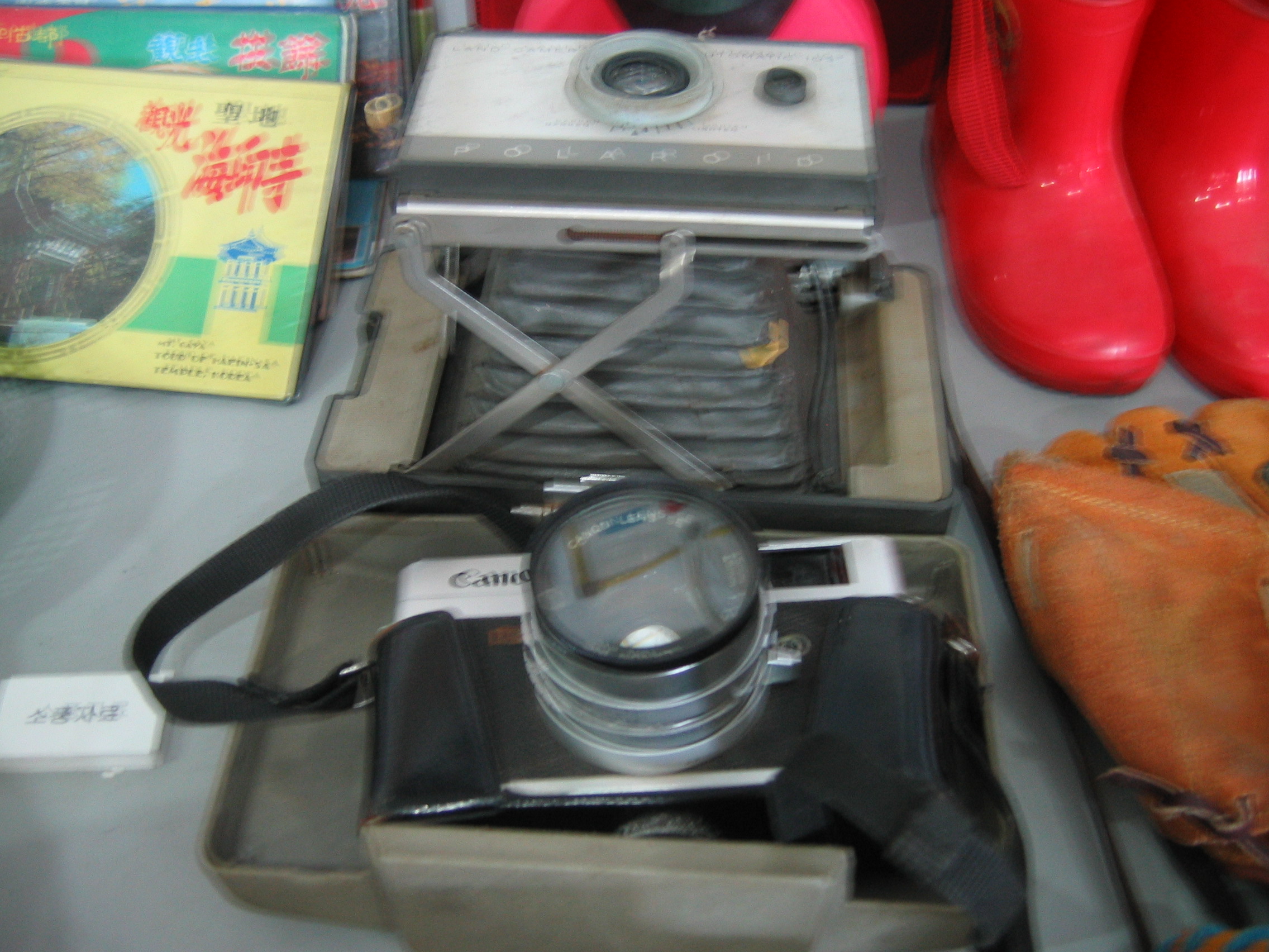 2006-08-19 오후 3-36-56.JPG