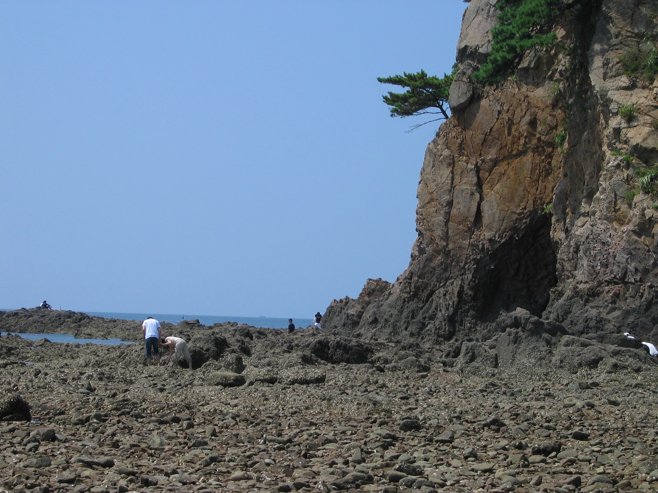 2006-09-02 오후 12-25-01-안면도-2627.JPG