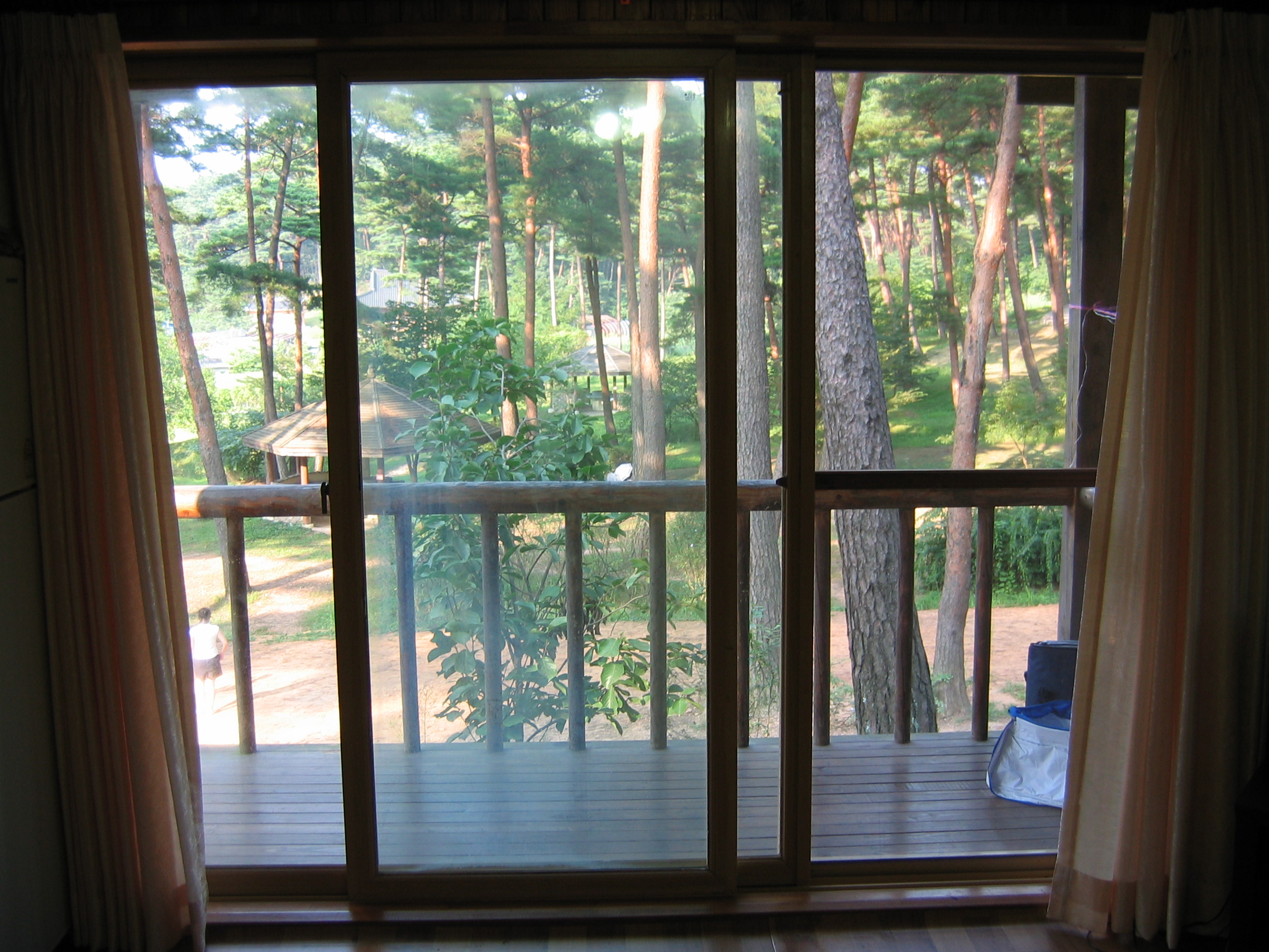 2006-09-02 오후 4-49-26-안면도-2649.JPG