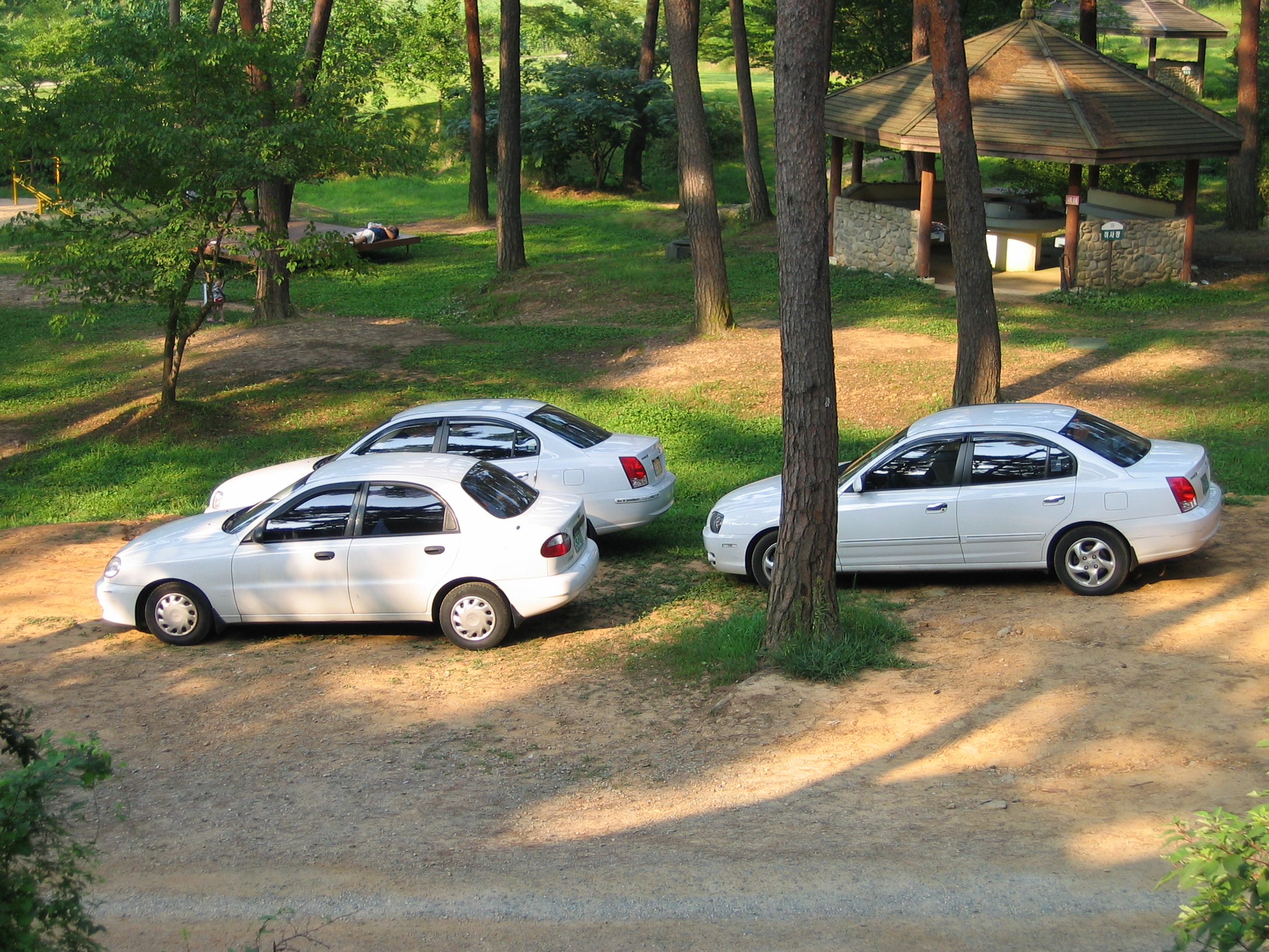 2006-09-02 오후 4-50-36-안면도-2655.JPG