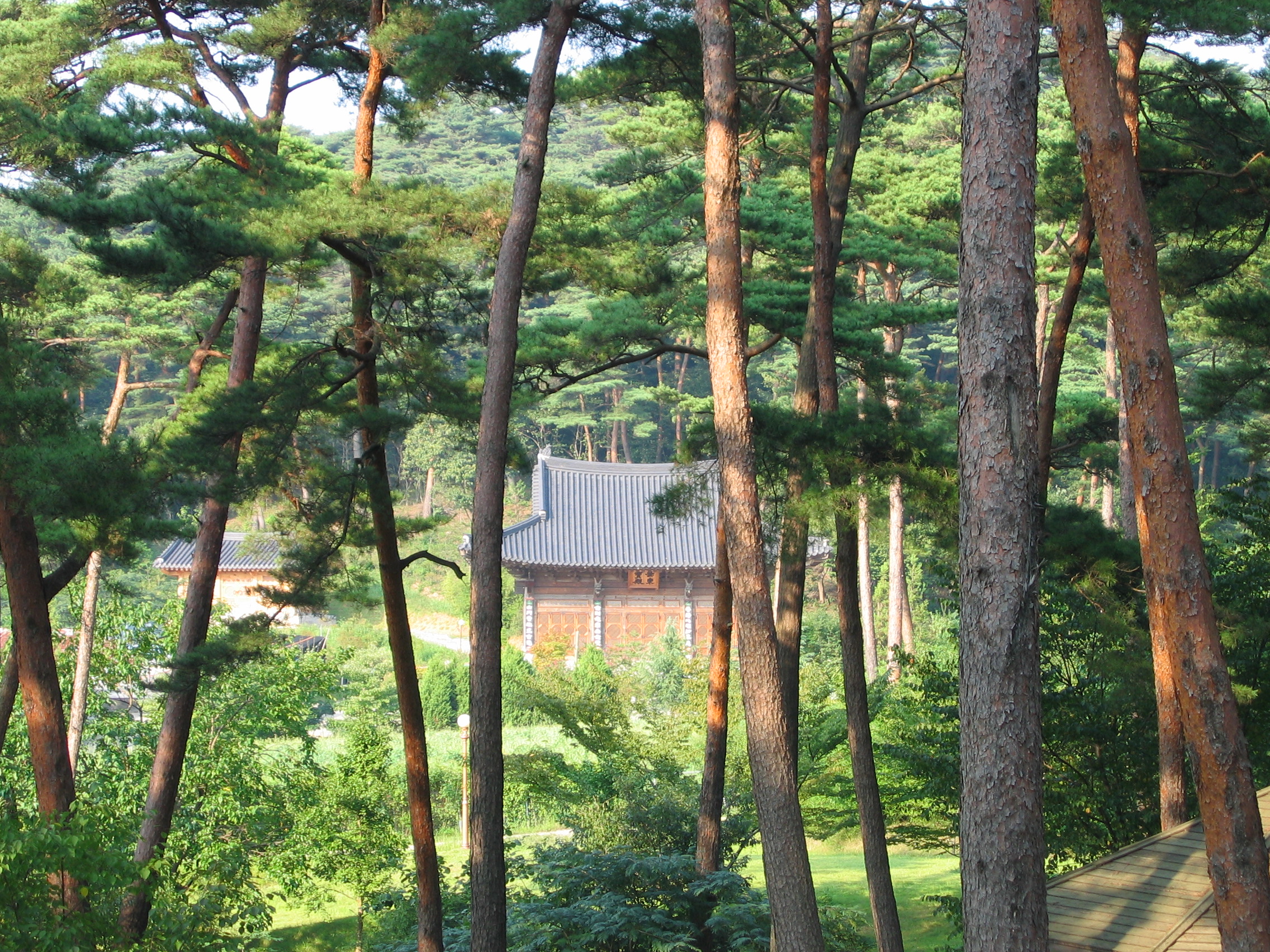 2006-09-02 오후 4-50-44-안면도-2656.JPG