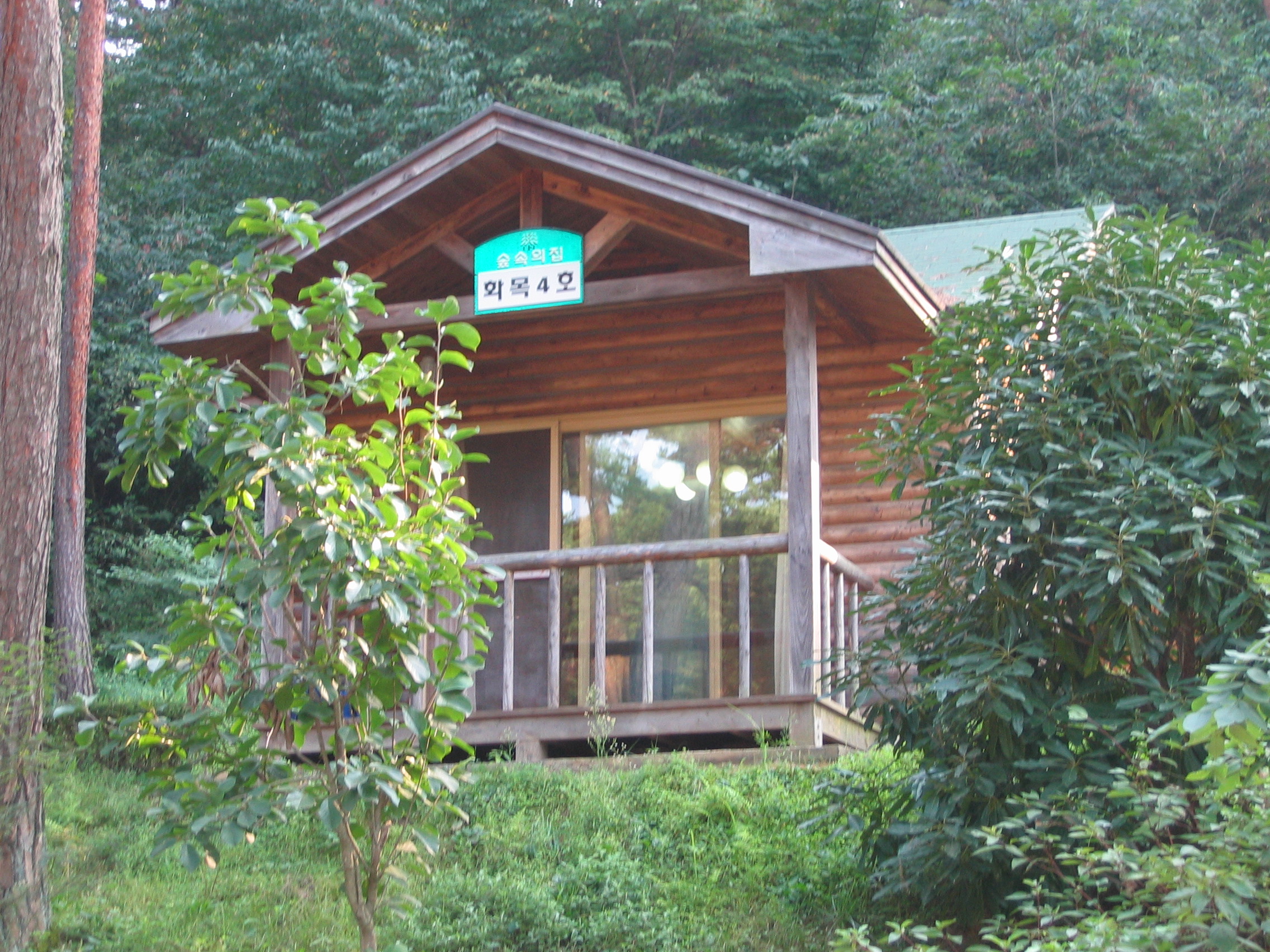 2006-09-02 오후 4-51-34-안면도-2658.JPG