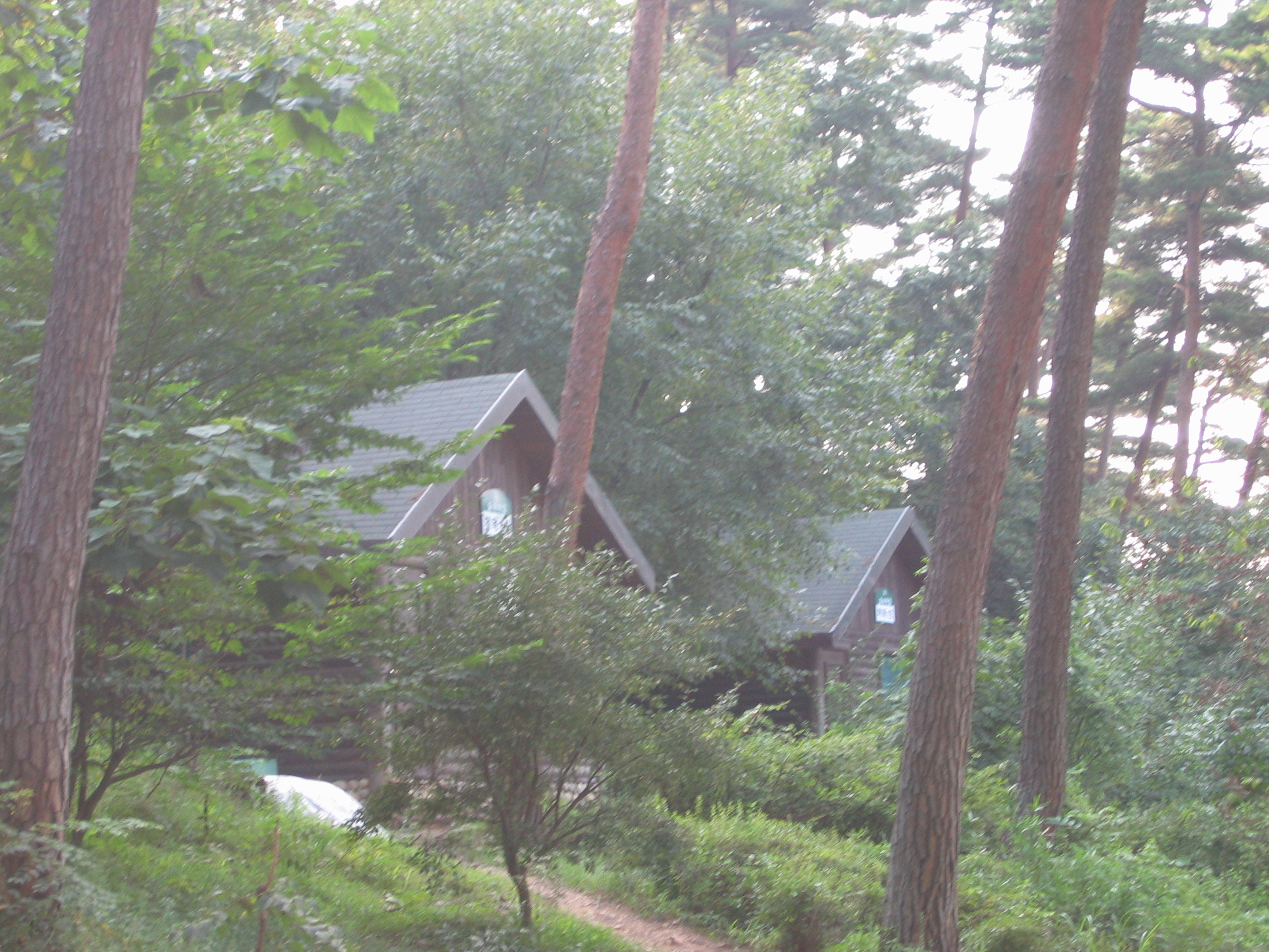 2006-09-02 오후 4-51-53-안면도-2660.JPG