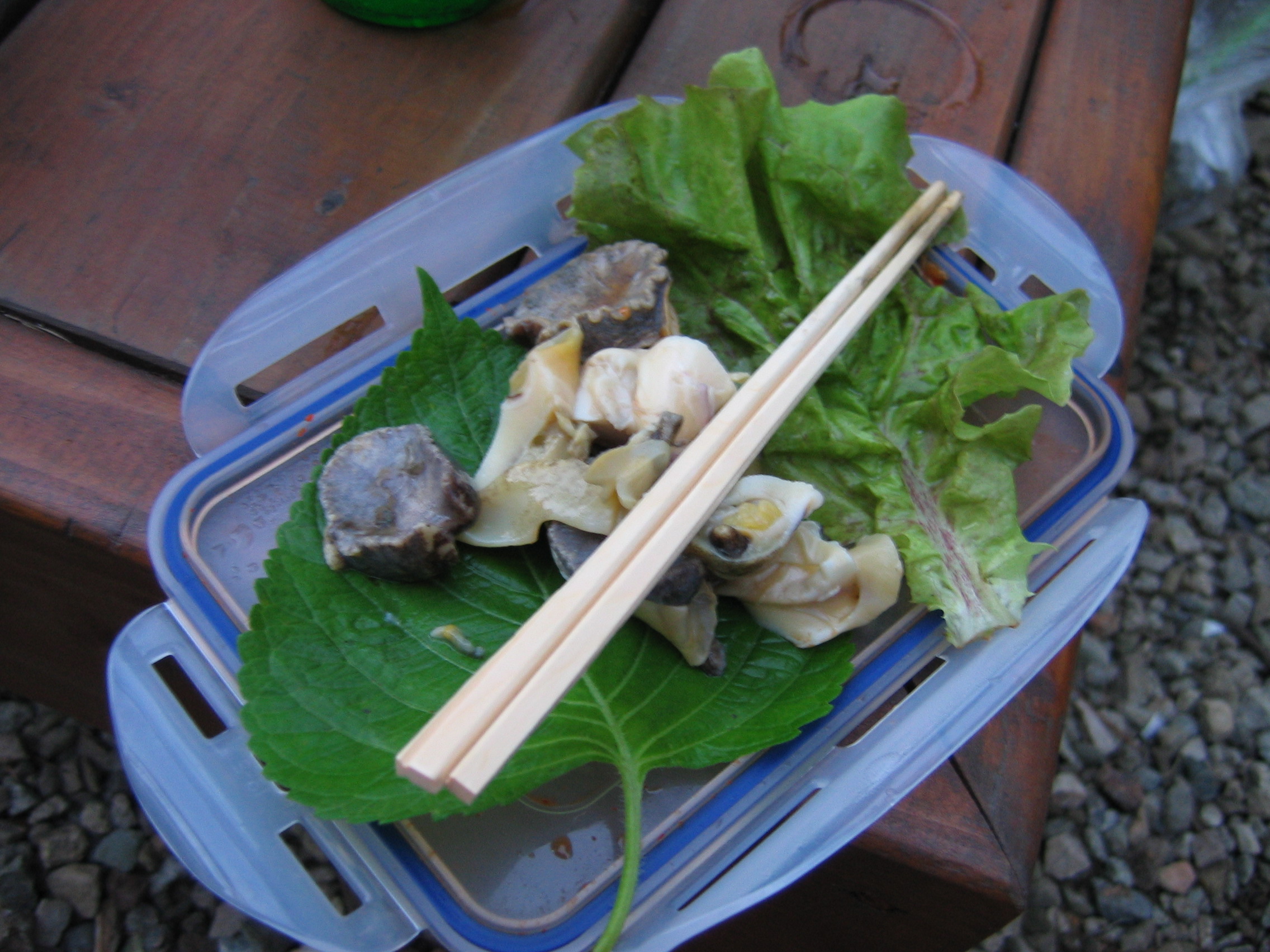 2006-09-02 오후 7-12-53-안면도-2668.JPG
