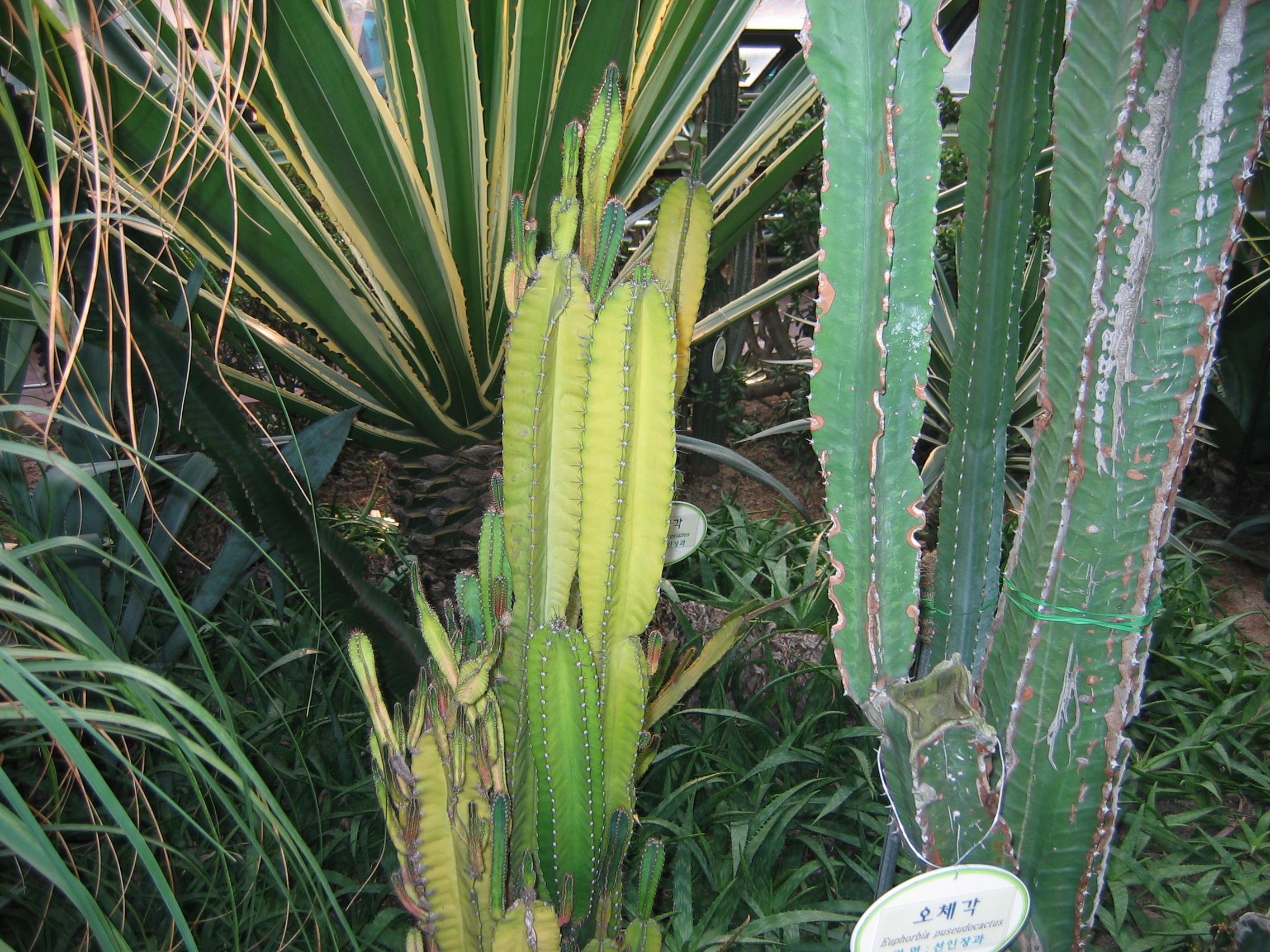 2006-10-03 오후 4-56-45-어린이대공원-022.JPG