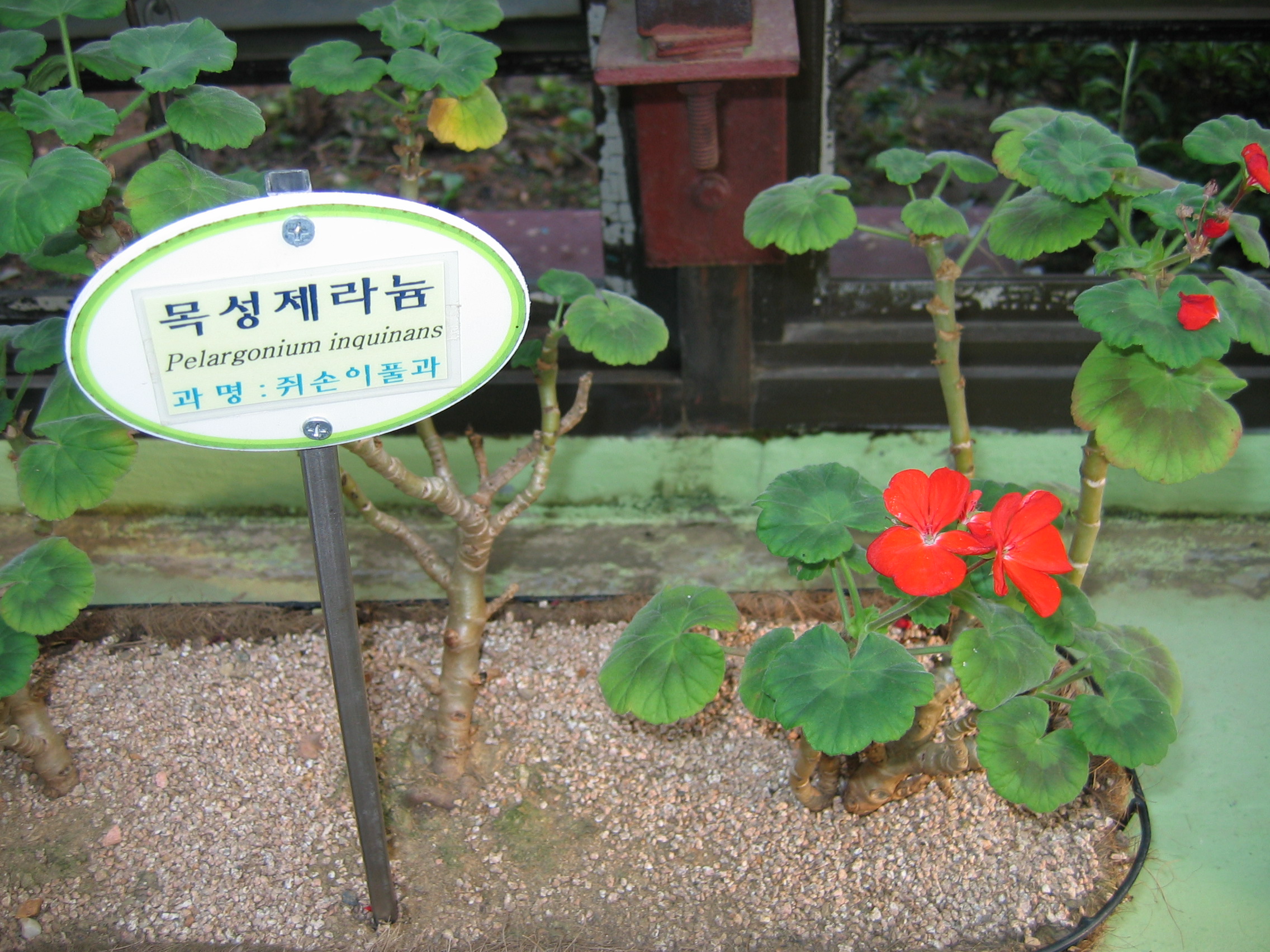 2006-10-03 오후 4-56-56-어린이대공원-023.JPG