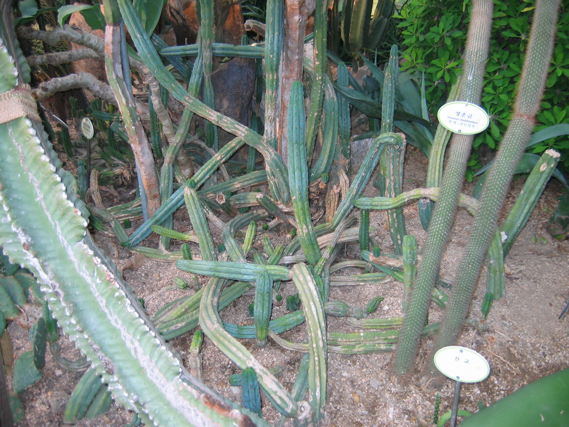 2006-10-03 오후 4-57-25-어린이대공원-025.JPG