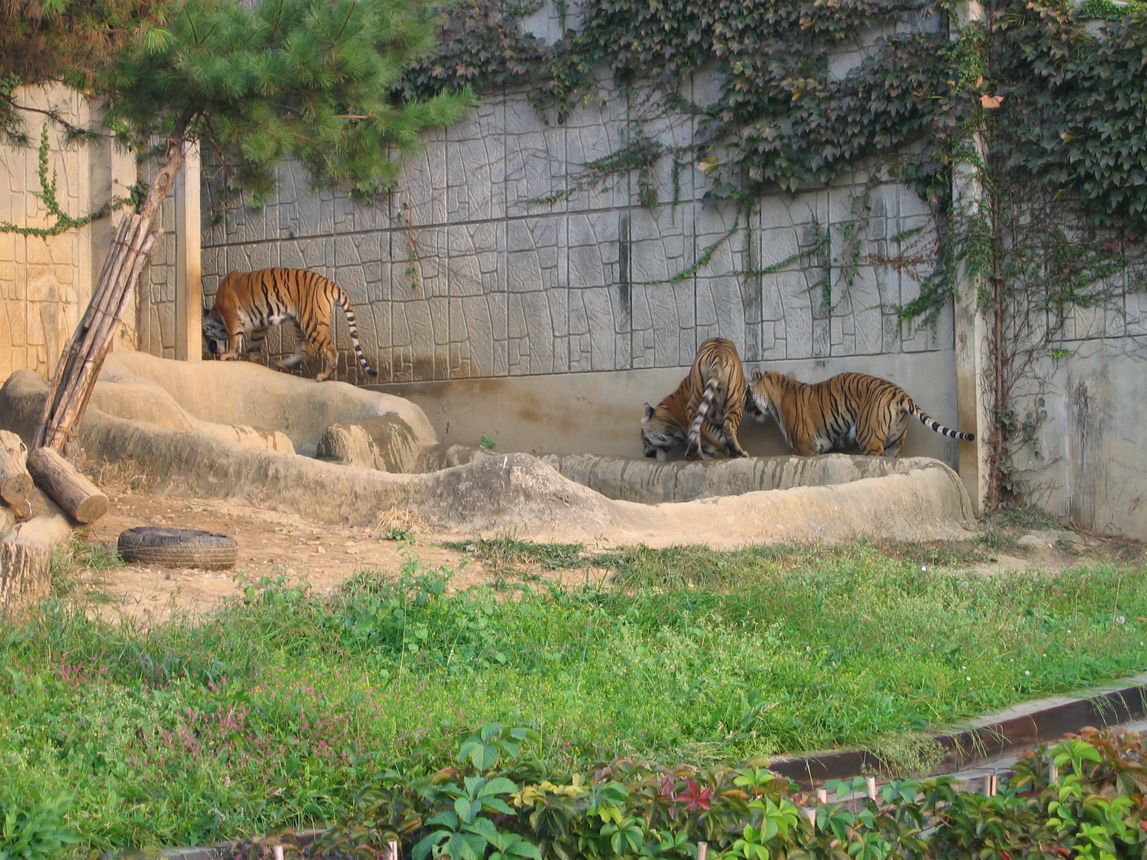 2006-10-03 오후 5-16-29-어린이대공원-051.JPG
