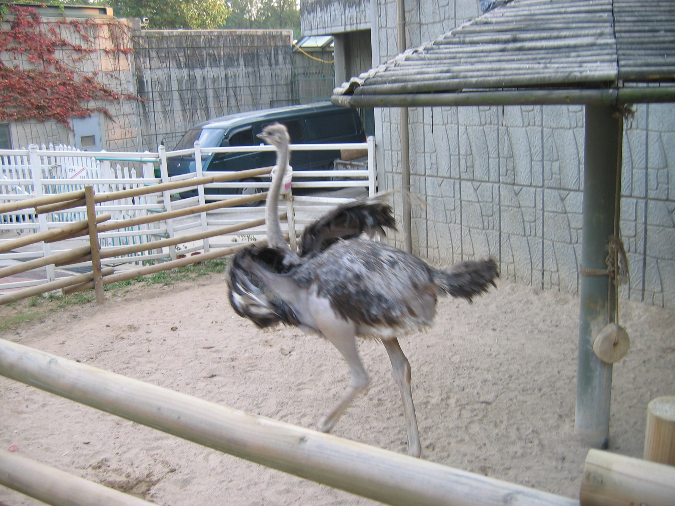 2006-10-03 오후 5-27-55-어린이대공원-060.JPG