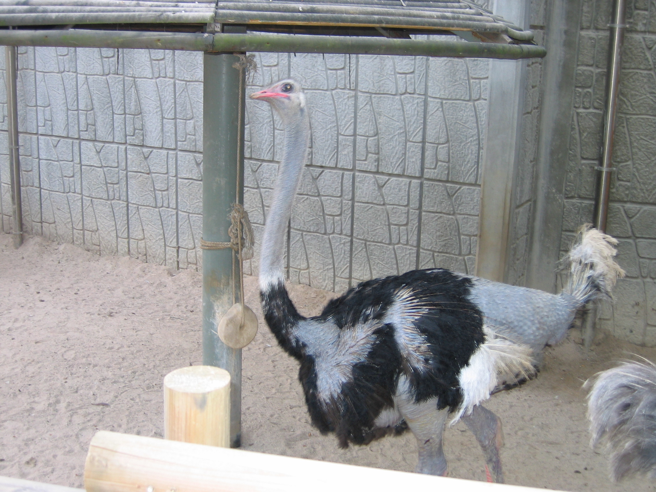2006-10-03 오후 5-28-36-어린이대공원-062.JPG