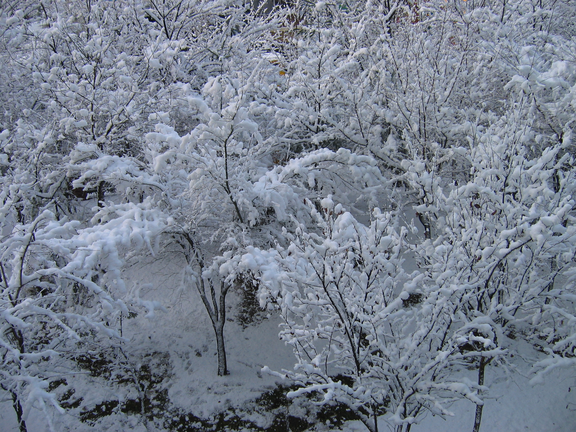 2006-12-17 오전 11-25-19.JPG