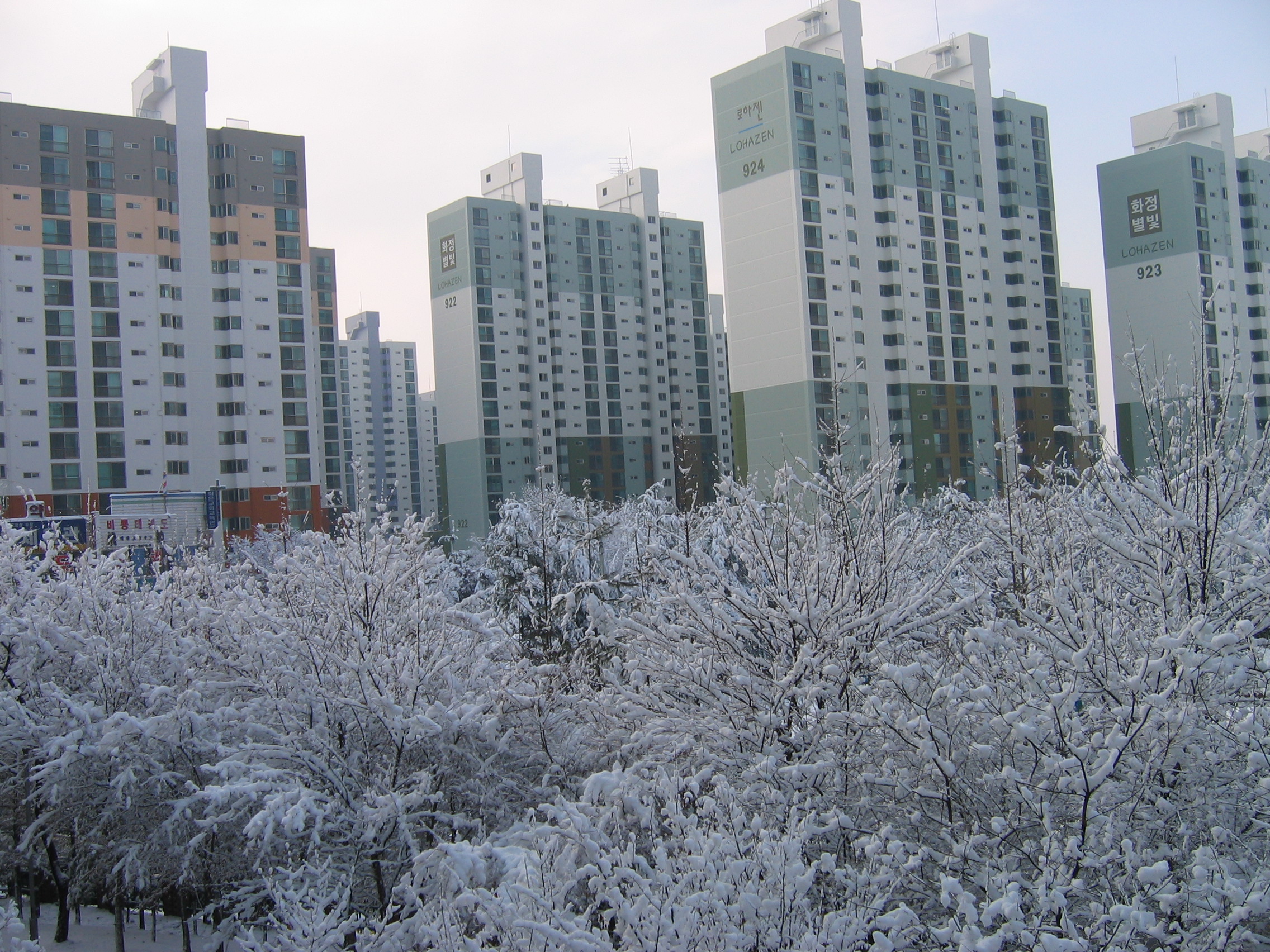 2006-12-17 오전 11-25-28.JPG