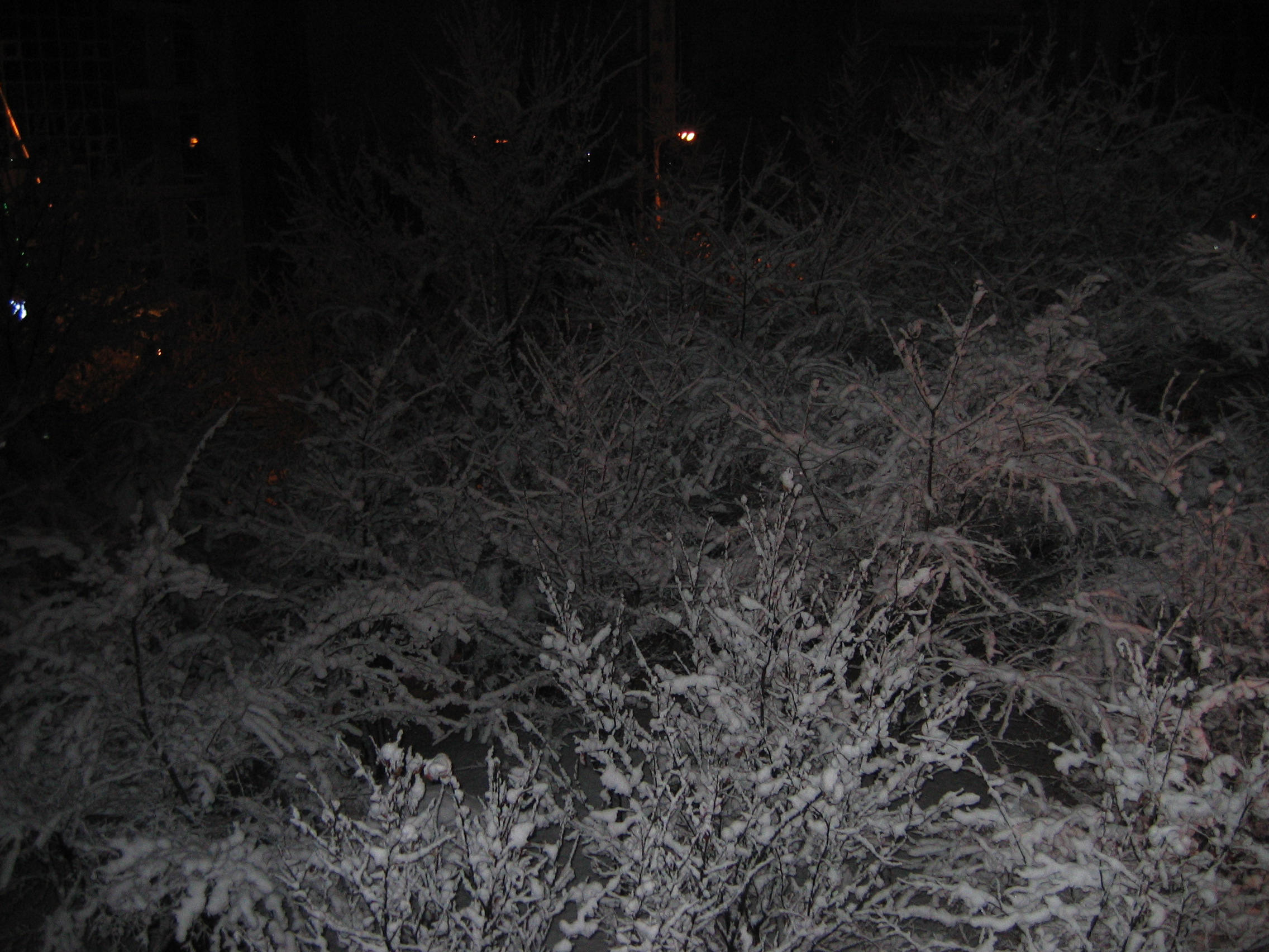 2006-12-17 오전 4-55-36.JPG