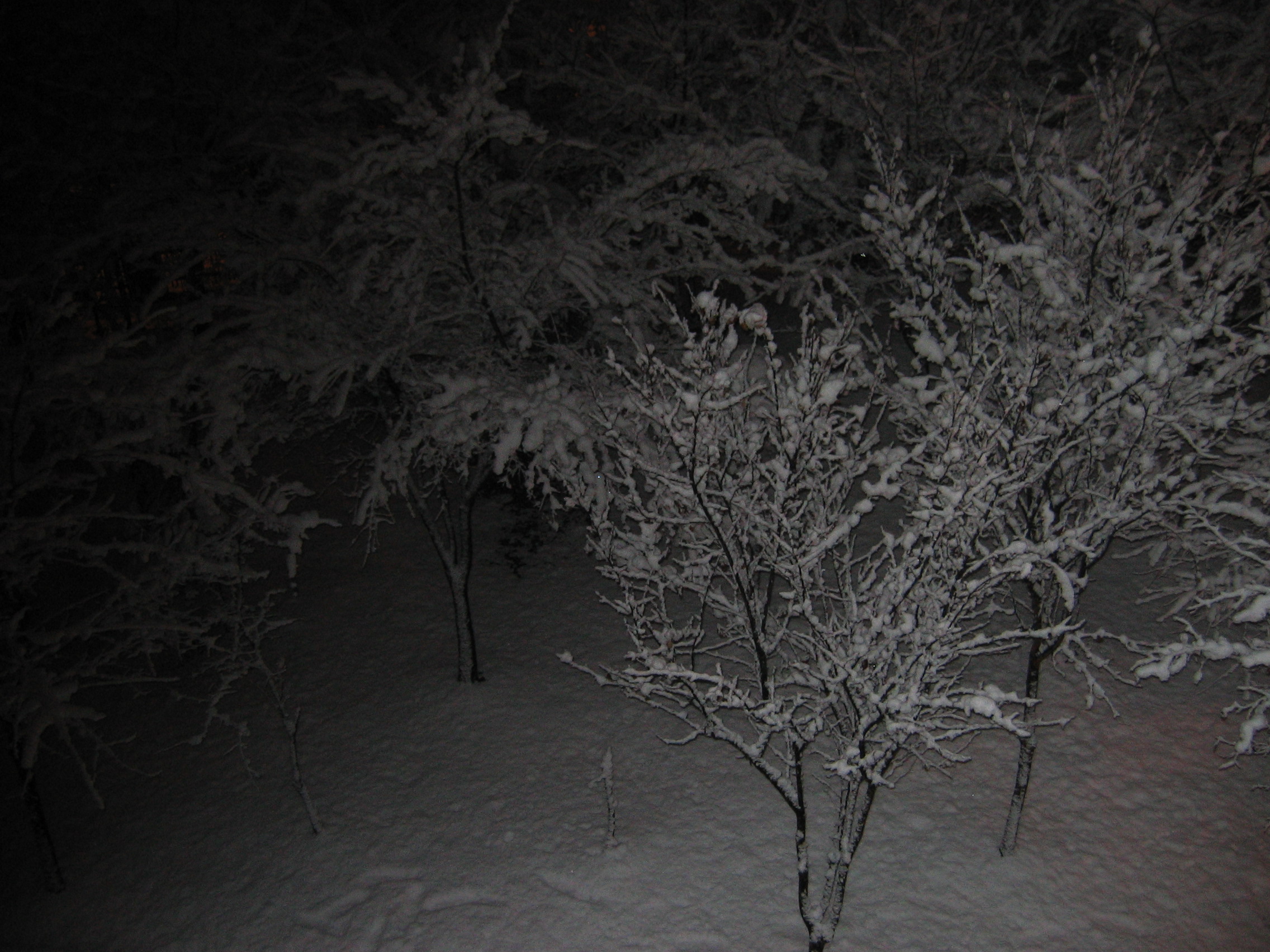 2006-12-17 오전 4-55-45.JPG