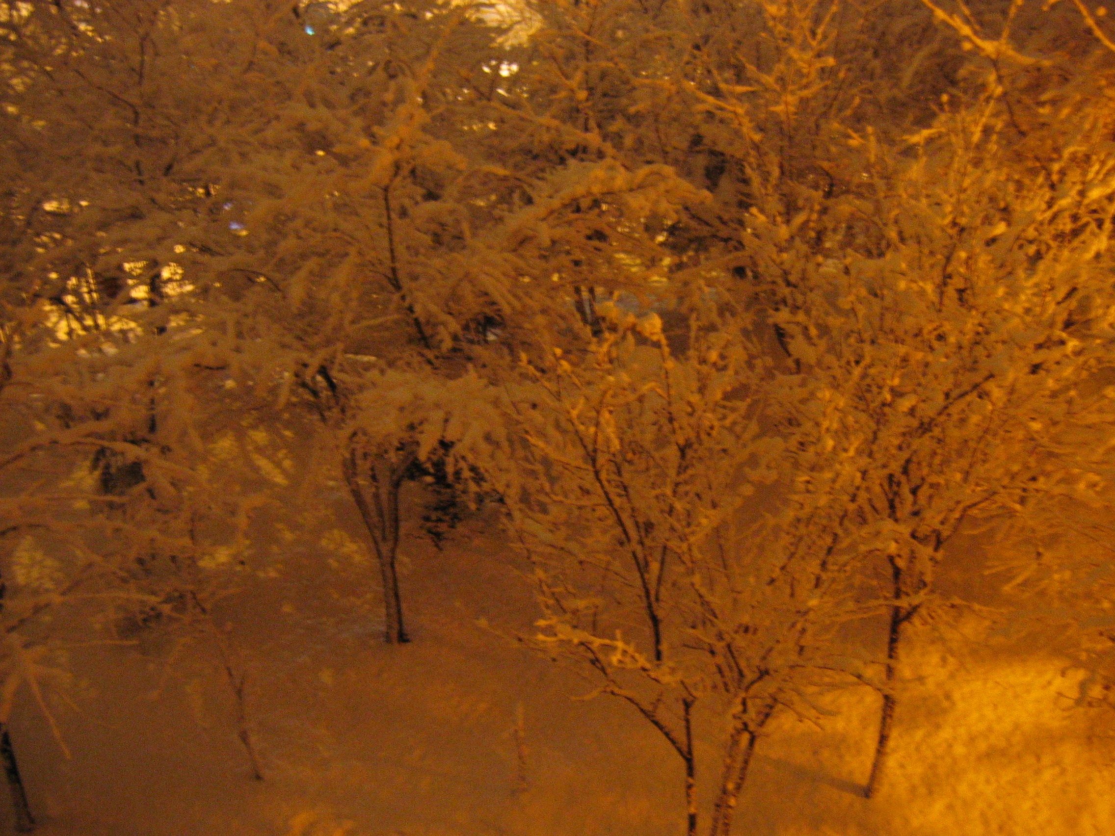 2006-12-17 오전 4-55-57.JPG