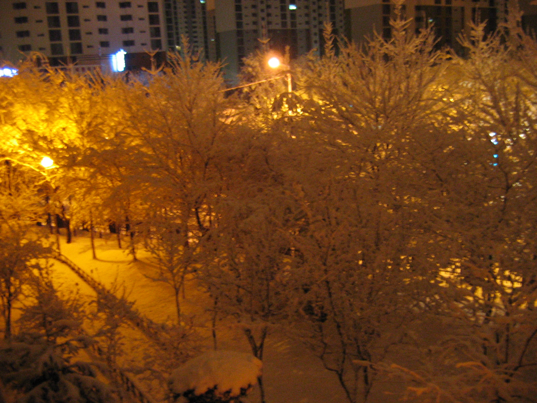 2006-12-17 오전 4-56-31.JPG